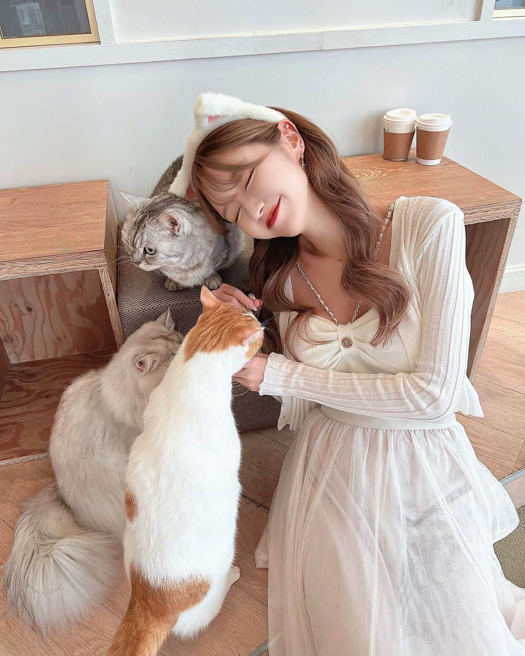 伊上あやさんのインスタグラム写真 - (伊上あやInstagram)「癒しの猫カフェいってきた🐱‎🤍 @mocha.harajuku  みんなもふもふで人懐っこくて可愛かった♡ おやつあげたら、抱っこさせてくれるの🫶  猫はほんとに癒しですねぇ💭💕  #PR #猫カフェmocha #猫カフェ #原宿猫カフェ #原宿カフェ #猫」11月5日 14時56分 - o.aya_0613