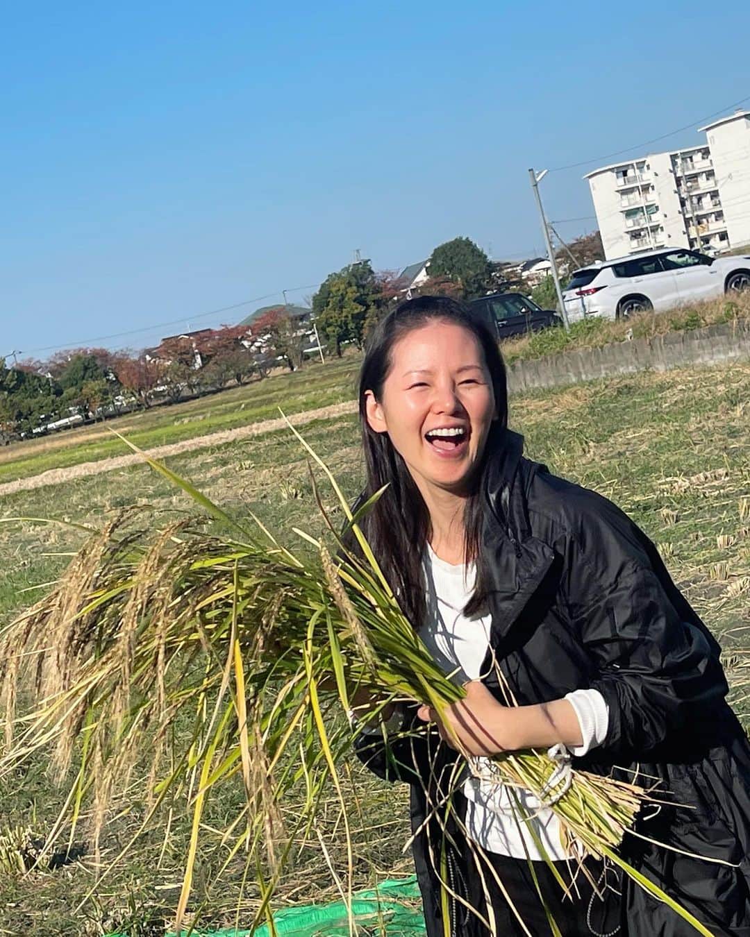 小西真奈美さんのインスタグラム写真 - (小西真奈美Instagram)「以前、稲作の勉強をさせていただいた奈良県の宮司さん、そして、その神社に携わる皆様で植えた貴重な古代米の田んぼの稲刈りに、約束通りに行ってきました！  まさかの神事の中での最初の稲刈りをさせていただき、かなり不慣れにやらせていただきましたが😅 最後のひと束の刈り取りには、最初より、少しだけスムーズに刈り取る事ができました。  落穂拾いもさせていただき、本当にすごいタイミングと、快晴の秋晴れに恵まれて、貴重な体験の時間でした。  途中、強い風雨の気候に、一度全ての苗が倒れたそうです。  それでもまたこうして力強く蘇り、輝き、そして、実るほど、頭を垂れる稲穂。  その自然の姿から学ばせていただくことが沢山あるなと、自分にも重ね合わせて、また深い学びの時間でした。  #稲穂 #稲刈り #古代米 #奈良県 #秋晴れ #☀️」11月5日 15時15分 - manami.official