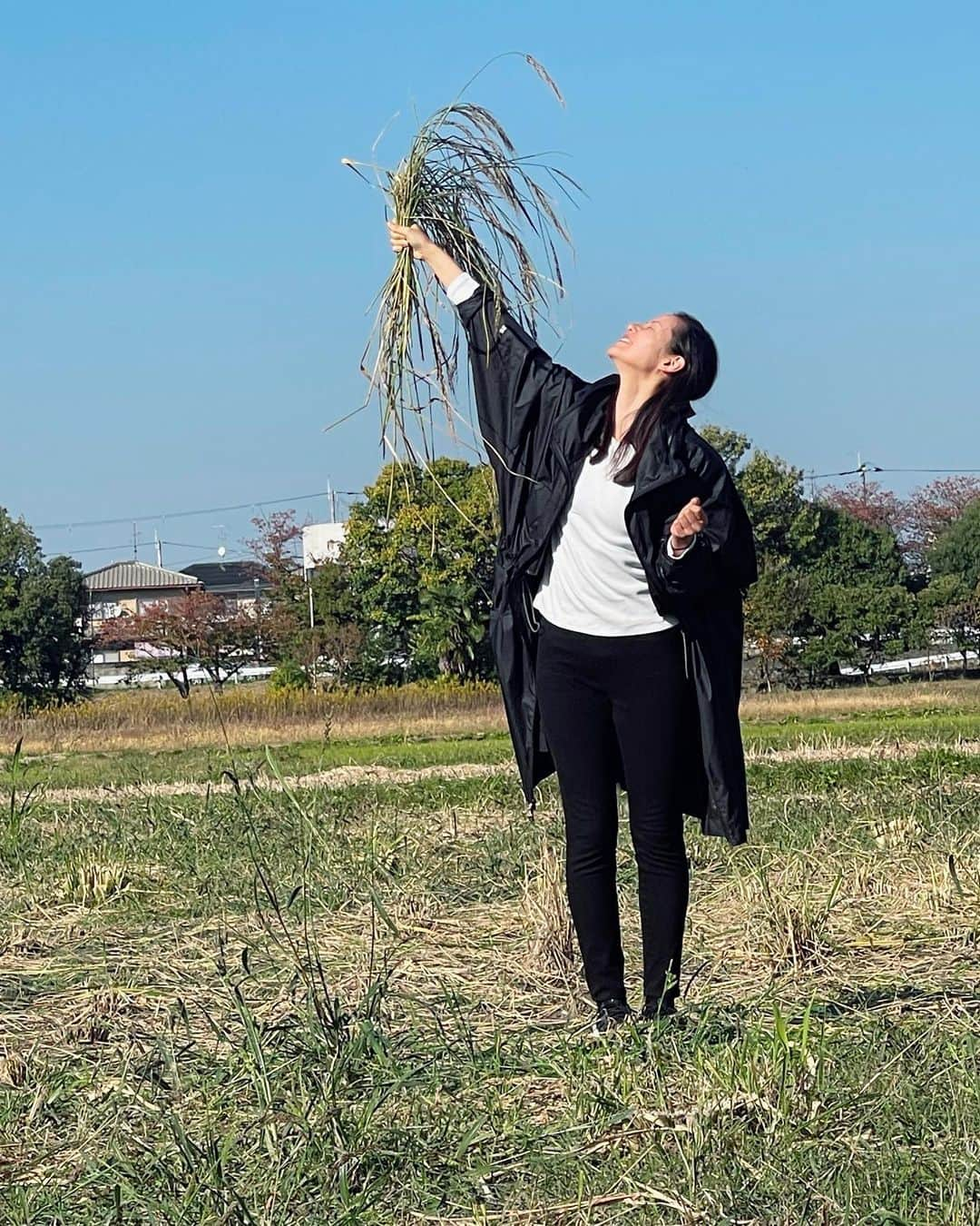 小西真奈美さんのインスタグラム写真 - (小西真奈美Instagram)「以前、稲作の勉強をさせていただいた奈良県の宮司さん、そして、その神社に携わる皆様で植えた貴重な古代米の田んぼの稲刈りに、約束通りに行ってきました！  まさかの神事の中での最初の稲刈りをさせていただき、かなり不慣れにやらせていただきましたが😅 最後のひと束の刈り取りには、最初より、少しだけスムーズに刈り取る事ができました。  落穂拾いもさせていただき、本当にすごいタイミングと、快晴の秋晴れに恵まれて、貴重な体験の時間でした。  途中、強い風雨の気候に、一度全ての苗が倒れたそうです。  それでもまたこうして力強く蘇り、輝き、そして、実るほど、頭を垂れる稲穂。  その自然の姿から学ばせていただくことが沢山あるなと、自分にも重ね合わせて、また深い学びの時間でした。  #稲穂 #稲刈り #古代米 #奈良県 #秋晴れ #☀️」11月5日 15時15分 - manami.official