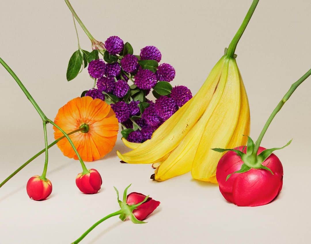吉田ユニのインスタグラム：「New work『flower fruits』  花を逆さまにしたり違う角度にすることで、フルーツや野菜のように見立てて表現しています🍎🍌🍓🍇🍅🍒 #fruit #flower」
