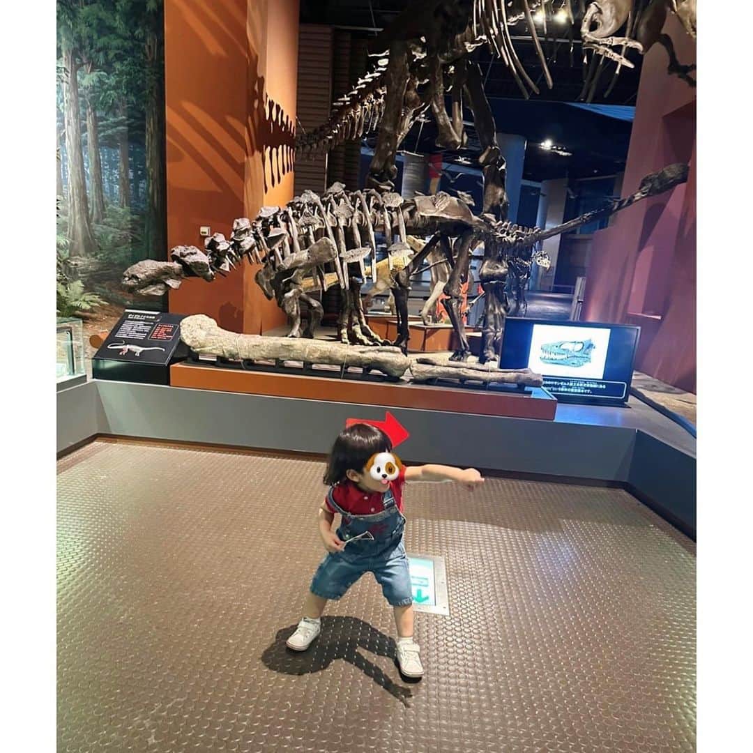 村上奈菜さんのインスタグラム写真 - (村上奈菜Instagram)「恐竜にハマって毎日恐竜ごっこなので 茨城にあるミュージアムパークに🦖🤍  「ママ! ちらのさぅるす! わ! とりけらとぷす! 」と 大喜び😆♡ 恐竜好きな子は喜ぶこと間違いなし！ 種類もよく覚えてて子供の吸収力に驚くばかり😳✨  昔恐竜が地球に暮らしてたんだなと思うと 迫力とかっこよさに大人の私もつい興奮(笑) そして今はいないという切なさに 考えさせられたのでありました🌏  また連れて行きたい場所になったよ〜🦕🌼  #茨城 #自然博物館 #ミュージアムパーク #恐竜 #2歳7ヶ月 #男の子ママ」11月5日 15時45分 - murakami__nana