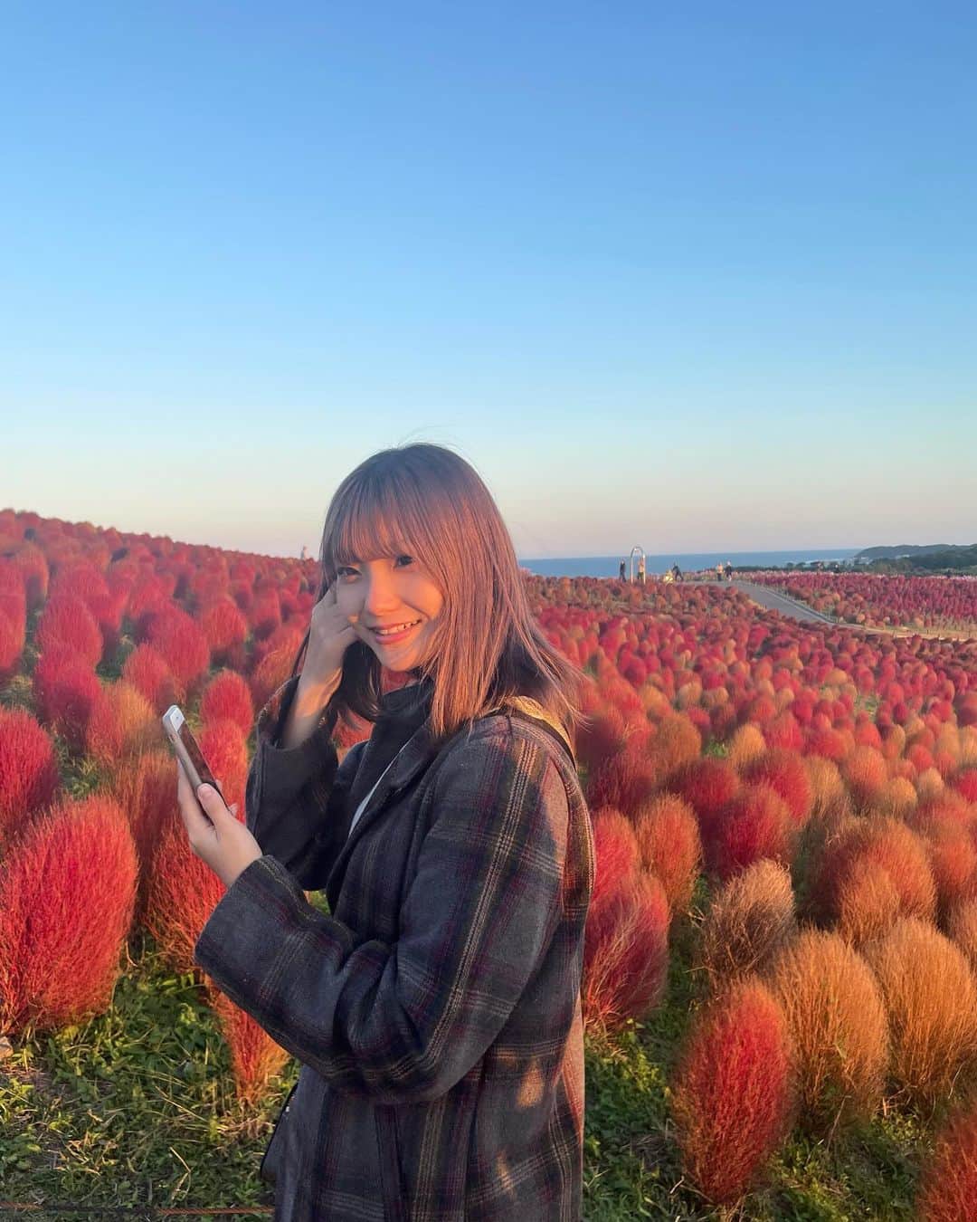 北川玲さんのインスタグラム写真 - (北川玲Instagram)「先日コキアを見に行きまして（´-`）すごく綺麗でした（´-`）コキアよりススキに興味津々な私（´-`）🌾」11月5日 15時54分 - reistagram.co.jp