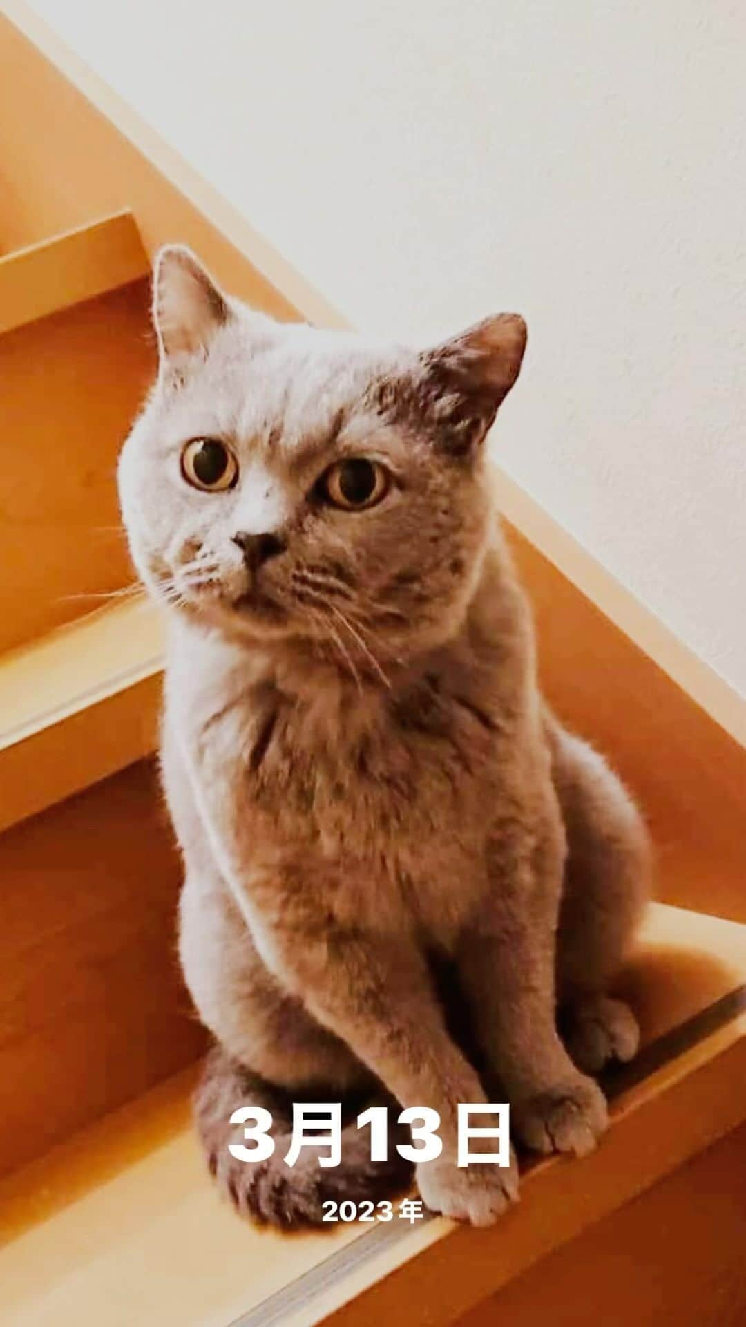 KAORUのインスタグラム