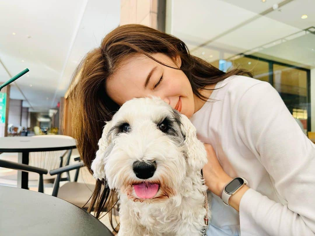 有村実樹さんのインスタグラム写真 - (有村実樹Instagram)「🐶 11歳。 我が家に来て6年近く経ちます。 ⁡ 年月を経て、少しずつ穏やかになってきてるイリス。 噛まれる回数もかなり減りました。 ⁡ ⁡ 写真は「はぁー、幸せ！」って感じる、イリスとの日常の瞬間です☺️ ⁡ ⁡ ⁡ #シーリハムテリア #イリス #繁殖引退犬 #幸せ #家族 #sealyhamterrier」11月5日 16時39分 - arimura_miki