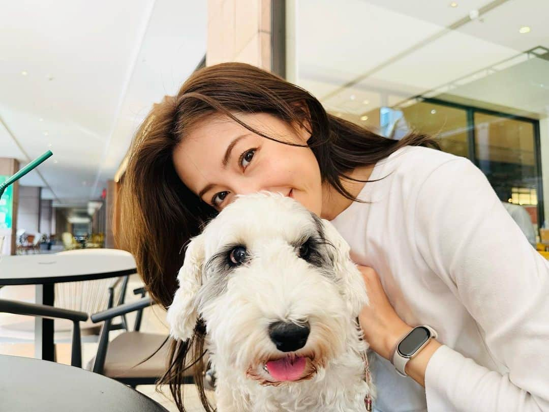 有村実樹さんのインスタグラム写真 - (有村実樹Instagram)「🐶 11歳。 我が家に来て6年近く経ちます。 ⁡ 年月を経て、少しずつ穏やかになってきてるイリス。 噛まれる回数もかなり減りました。 ⁡ ⁡ 写真は「はぁー、幸せ！」って感じる、イリスとの日常の瞬間です☺️ ⁡ ⁡ ⁡ #シーリハムテリア #イリス #繁殖引退犬 #幸せ #家族 #sealyhamterrier」11月5日 16時39分 - arimura_miki