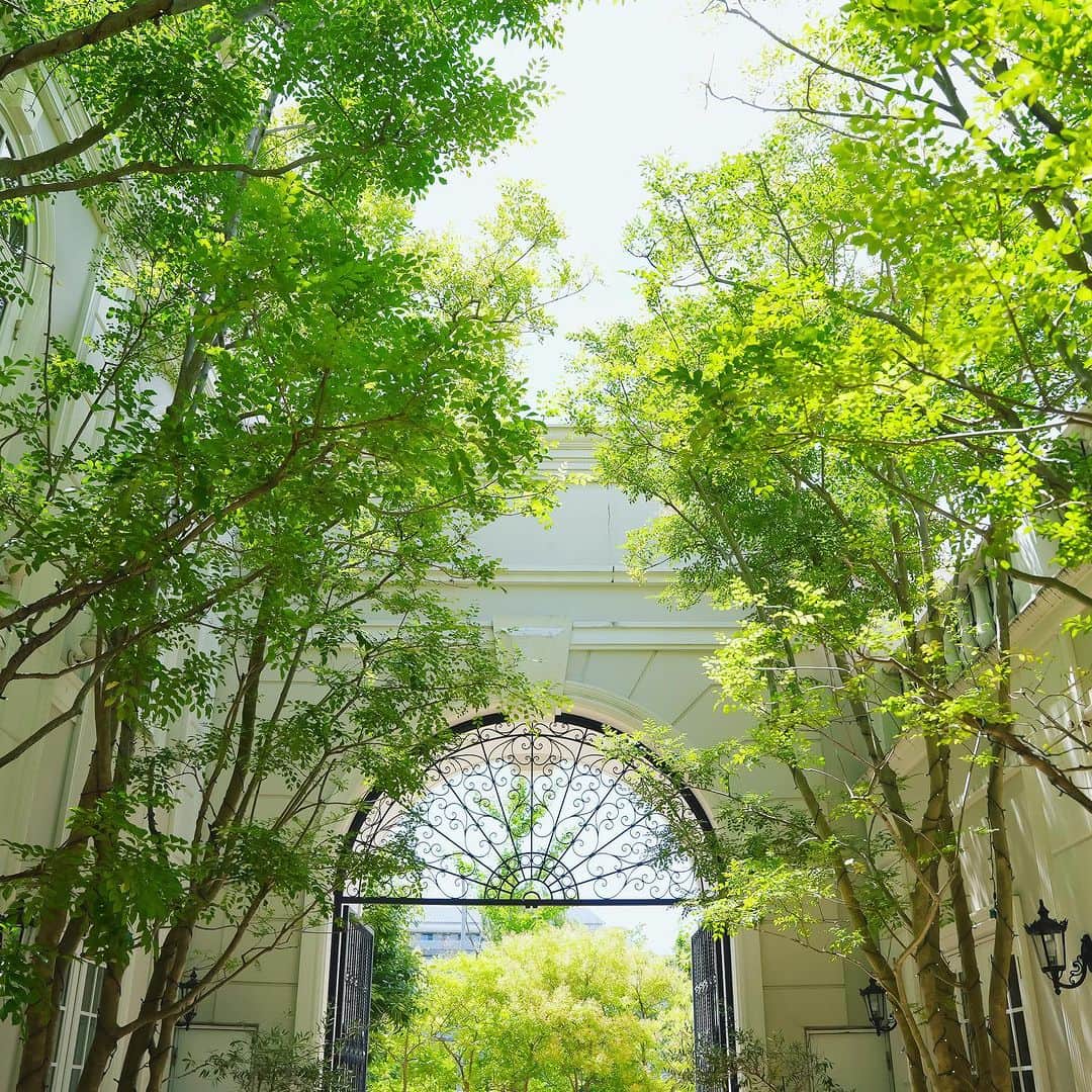 ArtGraceWeddingHillsさんのインスタグラム写真 - (ArtGraceWeddingHillsInstagram)「@artgraceweddinghills   緑に包まれたゲートの先には 独立型の大聖堂  青空までも貸切にした 特別なウエディングを  京都で希少なプール付邸宅 メゾンドシャンパーニュ邸では 自然光が水面に反射しお二人姿を キラキラと輝かせます  #アートグレイスウエディングヒルズ #アートグレイス京都  ▼ブライダルフェアのご予約は @artgraceweddinghills TOPのURLより ベストレート保証でご案内いたします」11月5日 22時07分 - artgraceweddinghills