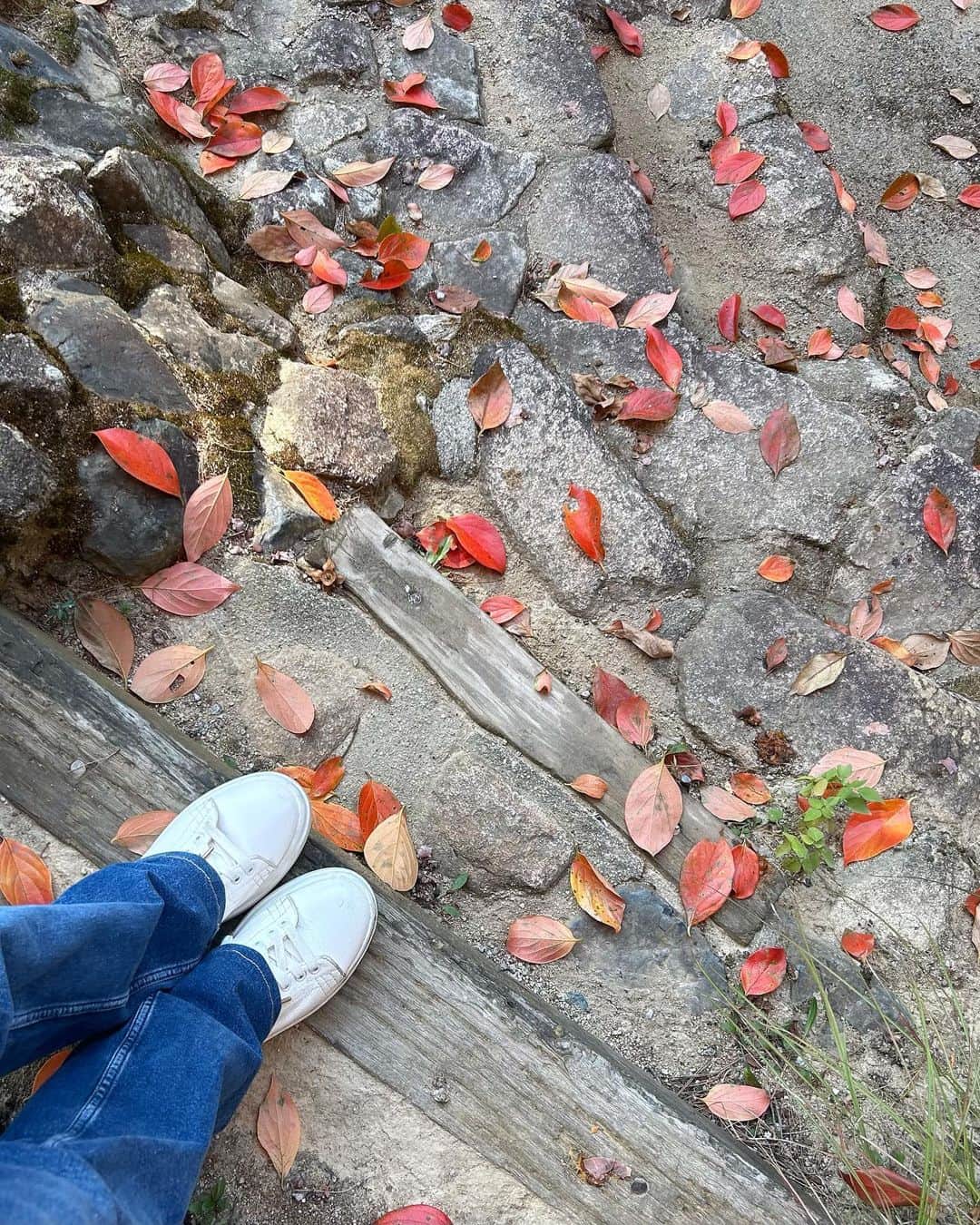 入江美沙希さんのインスタグラム写真 - (入江美沙希Instagram)「秋を感じてきました🧺🍂 ⁡ 普段と違う場所で過ごしてるからか穏やかな時間が流れてました.. お散歩するのも空気が澄んでて気持ちが良かったな🕊‎ ⁡ ⁡  tops　 #sona  bottom　 #zara ⁡ ⁡ ⁡ ⁡ ⁡ ⁡ ⁡ ⁡ ⁡ ⁡ ⁡ ⁡ ⁡ ⁡ ⁡ ⁡ ⁡ #みさきのしふくすたいる #紅葉#デニムコーデ#秋トップス#秋服#秋コーデ#秋ファッション#ワンピースコーデ#韓国へア#韓国へアアレンジ#ヨシンモリ#前髪なし#ガーリーコーデ#ガーリーファッション#ガーリーヘア#ガーリーヘアアレンジ#フレンチガーリー#フレンチガーリーコーデ#フレンチガーリーヘア#韓国コーデ#韓国ファッション#高校生#06#jk2#jk#Japan」11月5日 17時12分 - irie_misaki_official