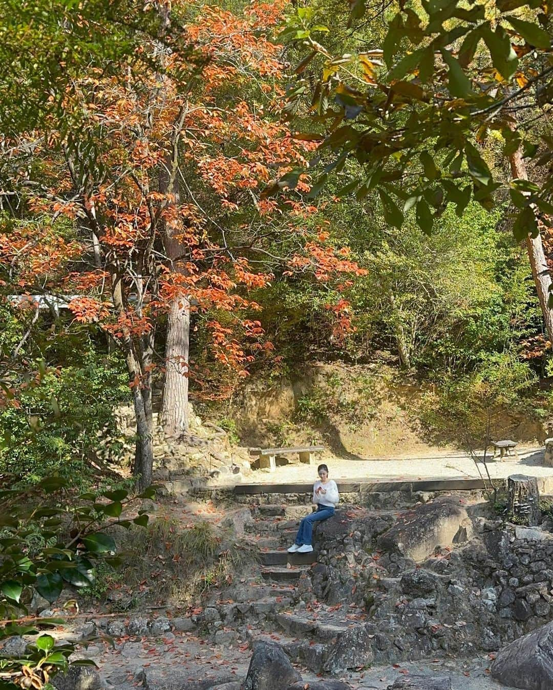 入江美沙希さんのインスタグラム写真 - (入江美沙希Instagram)「秋を感じてきました🧺🍂 ⁡ 普段と違う場所で過ごしてるからか穏やかな時間が流れてました.. お散歩するのも空気が澄んでて気持ちが良かったな🕊‎ ⁡ ⁡  tops　 #sona  bottom　 #zara ⁡ ⁡ ⁡ ⁡ ⁡ ⁡ ⁡ ⁡ ⁡ ⁡ ⁡ ⁡ ⁡ ⁡ ⁡ ⁡ ⁡ #みさきのしふくすたいる #紅葉#デニムコーデ#秋トップス#秋服#秋コーデ#秋ファッション#ワンピースコーデ#韓国へア#韓国へアアレンジ#ヨシンモリ#前髪なし#ガーリーコーデ#ガーリーファッション#ガーリーヘア#ガーリーヘアアレンジ#フレンチガーリー#フレンチガーリーコーデ#フレンチガーリーヘア#韓国コーデ#韓国ファッション#高校生#06#jk2#jk#Japan」11月5日 17時12分 - irie_misaki_official