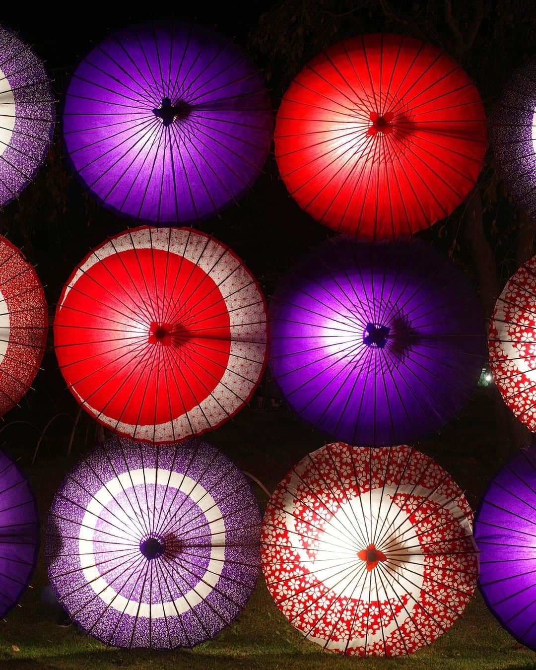 西川瑞希（みずきてぃ）さんのインスタグラム写真 - (西川瑞希（みずきてぃ）Instagram)「-ライトアップイベント-  日本庭園では水面にモミジが鏡のように反射していてとても綺麗で感動。感動。光に包まれた銀杏並木では色と音の変わる演出が幻想的で、たまに遊びにきていたけどいつもみている場所とは全く別の場合に来たみたいな気分だったなぁ//  ☺︎☺︎☺︎✨  #秋 #おさんぽ #昭和記念公園 #立川 #tachikawa #showakinenpark #healing」11月5日 17時14分 - mizuki_nishikawa_