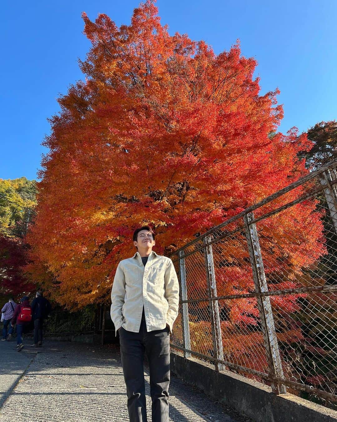 ファン・グァンヒさんのインスタグラム写真 - (ファン・グァンヒInstagram)「가을🍁🌾」11月5日 17時30分 - prince_kwanghee