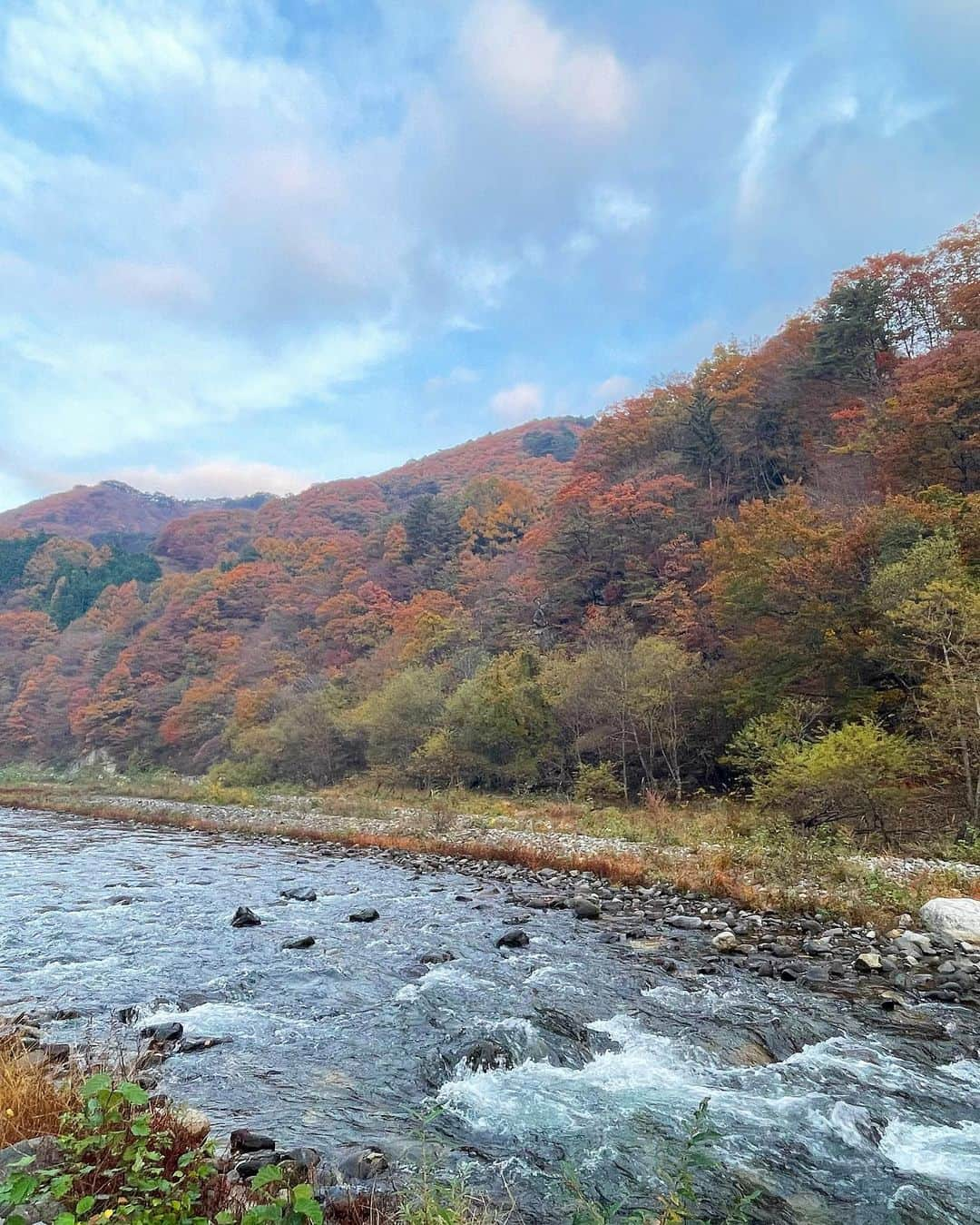 前田亜美さんのインスタグラム写真 - (前田亜美Instagram)「. 🌲🏕🍁⠜ . . . . 何かあった時の為の笛…🐻‍(所さんにもらった✌️) .  #キャンプ  #秋キャンプ  #紅葉」11月5日 17時40分 - ami___maeda0601