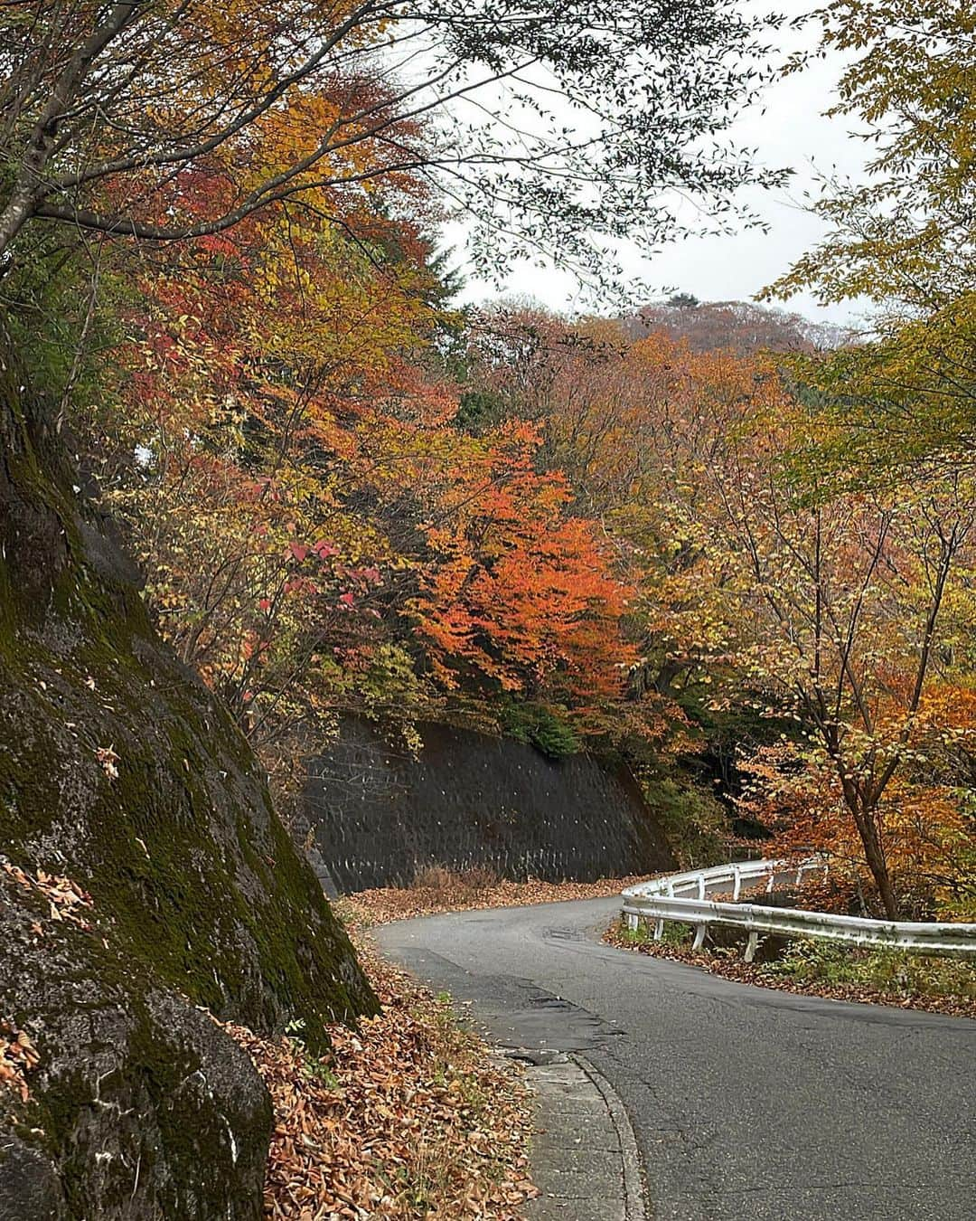 前田亜美さんのインスタグラム写真 - (前田亜美Instagram)「. 🌲🏕🍁⠜ . . . . 何かあった時の為の笛…🐻‍(所さんにもらった✌️) .  #キャンプ  #秋キャンプ  #紅葉」11月5日 17時40分 - ami___maeda0601