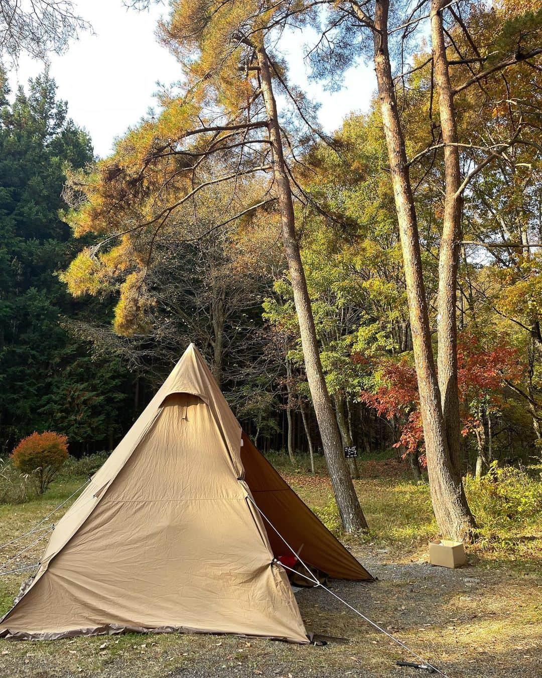 前田亜美のインスタグラム：「. 🌲🏕🍁⠜ . . . . 何かあった時の為の笛…🐻‍(所さんにもらった✌️) .  #キャンプ  #秋キャンプ  #紅葉」