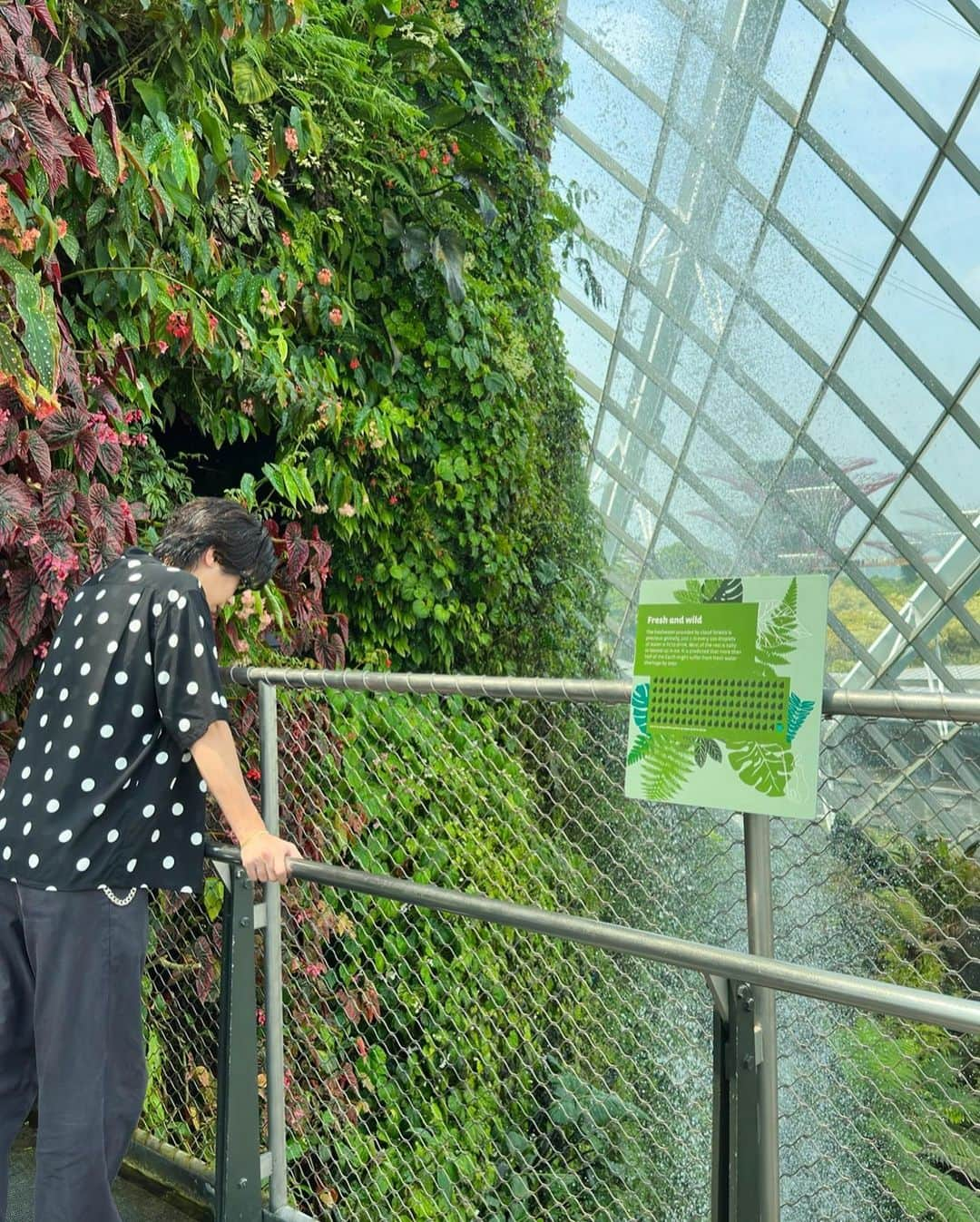 神宮寺勇太さんのインスタグラム写真 - (神宮寺勇太Instagram)「植物園に行ったよ🌴  最後の写真がなんか好きなのよ🤣🤣」11月5日 17時50分 - _yutajinguji