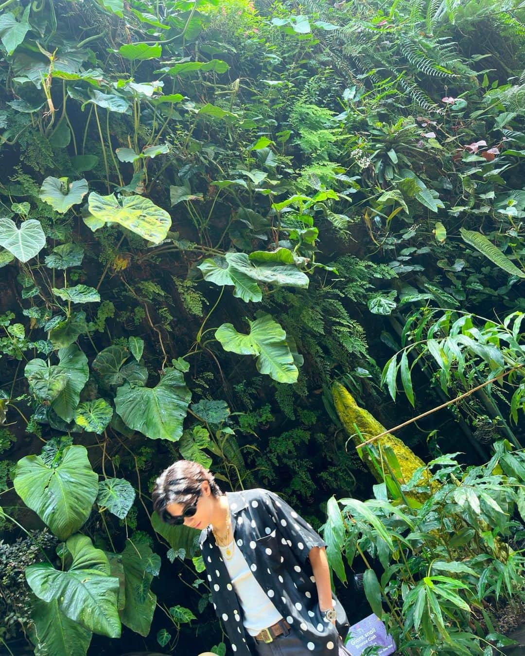 神宮寺勇太さんのインスタグラム写真 - (神宮寺勇太Instagram)「植物園に行ったよ🌴  最後の写真がなんか好きなのよ🤣🤣」11月5日 17時50分 - _yutajinguji