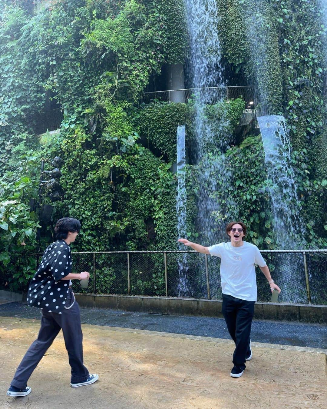 神宮寺勇太さんのインスタグラム写真 - (神宮寺勇太Instagram)「植物園に行ったよ🌴  最後の写真がなんか好きなのよ🤣🤣」11月5日 17時50分 - _yutajinguji