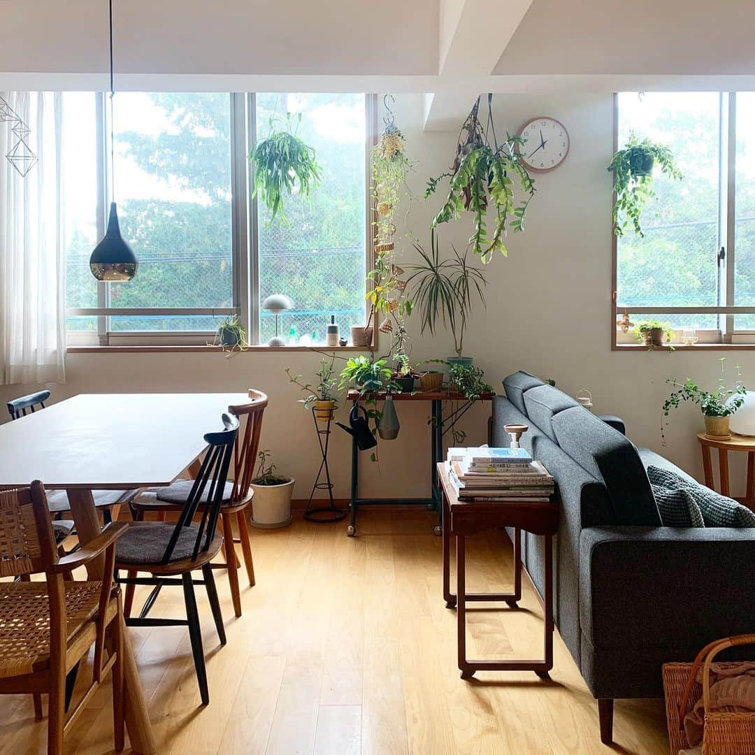 佐藤友子のインスタグラム：「週末の風景🏠」