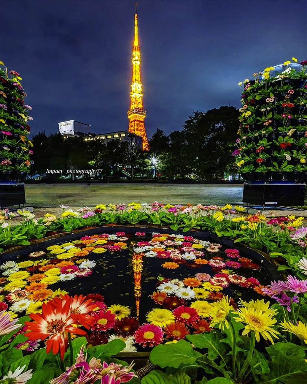 東京タワーのインスタグラム：「. 150周年を迎える都立芝公園。  特設花壇 & ライトアップでお祝いをする 「花と光のムーブメント」 芝公園×150th anniversaryが 11月19日（日）まで開催中です💐  今回、ご紹介するお写真は、 花で囲まれた約1mの水鏡！  この水鏡展示は10月で終了となりましたが、 水鏡に浮かぶ花びらと、 ゆらめく東京タワーの光がロマンチックですね✨  本日は、Your Tokyo Tower🗼から @impact_photography77 さんのお写真をご紹介！  素敵なお写真をありがとうございました😊  ———————————  【 お知らせ 】  🆕 TikTok  東京タワーの公式TikTokアカウントが 開設されました！  詳細はプロフィールにあるリンクから↓ @tokyotower_official  ■ 公式LINE  東京タワー公式LINEでは 東京タワーのイベント情報を お届けしています！  詳細はプロフィールにあるリンクから↓ @tokyotower_official  ■ Your Tokyo Tower 🗼  # your_tokyotowerで あなたの東京タワーをリポスト！  @tokyotower_official の タグ付けをしてくれると見つけやすいよ！  皆様からの投稿 どしどしお待ちしております！  ———————————  #東京タワー #東京タワー🗼  #tokyotower  #tokyotower🗼  #花 #flower #リフレクション #reflection」