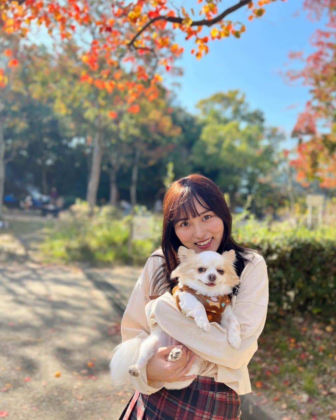 杉岡泉美のインスタグラム：「皆さん、連休いかがお過ごしですか。 今日は天気がとっても良かったので、お姉ちゃんのところのわんちゃんとお散歩にいってきました🐶☀️ #早く懐かれたいです」