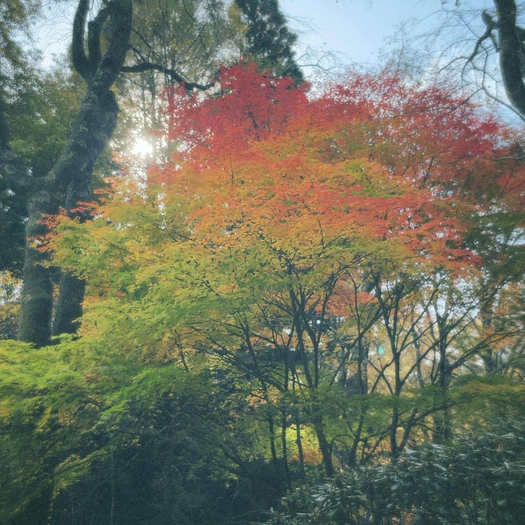 樋口柚子さんのインスタグラム写真 - (樋口柚子Instagram)「秋〜🌼 と、のんびり顔はめパネル😪⛰️」11月5日 18時20分 - higuchi_yuzu_official