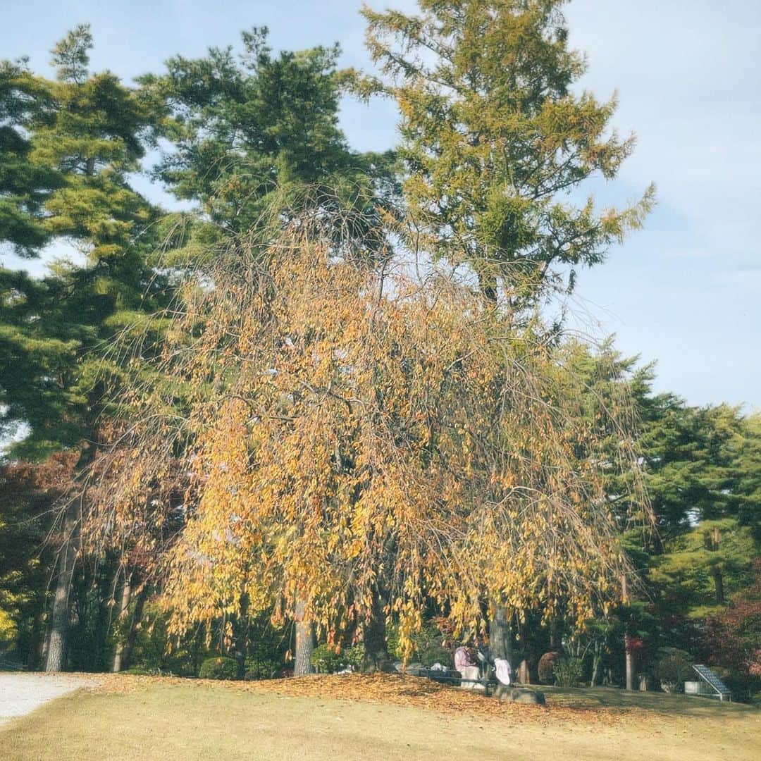 樋口柚子さんのインスタグラム写真 - (樋口柚子Instagram)「秋〜🌼 と、のんびり顔はめパネル😪⛰️」11月5日 18時20分 - higuchi_yuzu_official