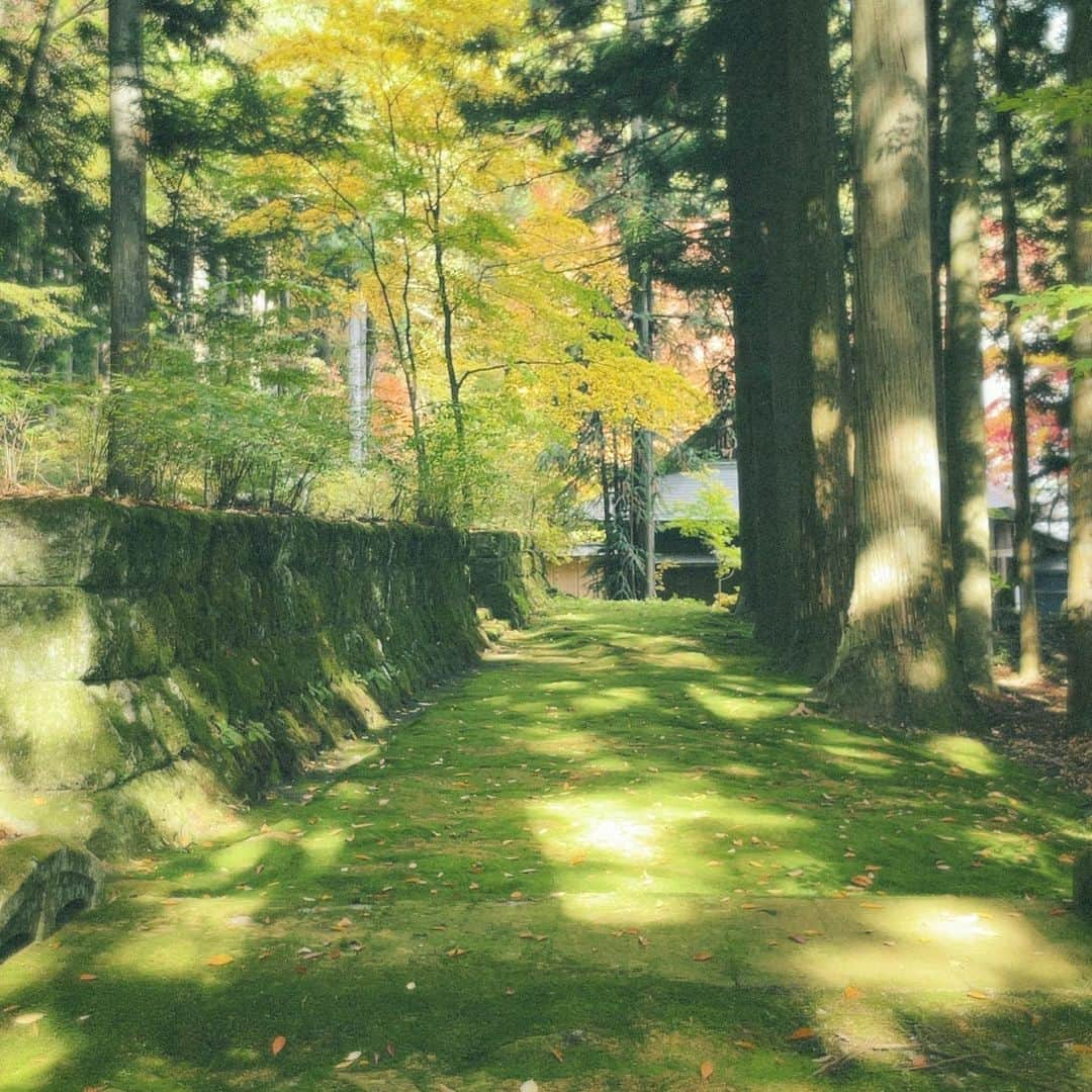 樋口柚子さんのインスタグラム写真 - (樋口柚子Instagram)「秋〜🌼 と、のんびり顔はめパネル😪⛰️」11月5日 18時20分 - higuchi_yuzu_official