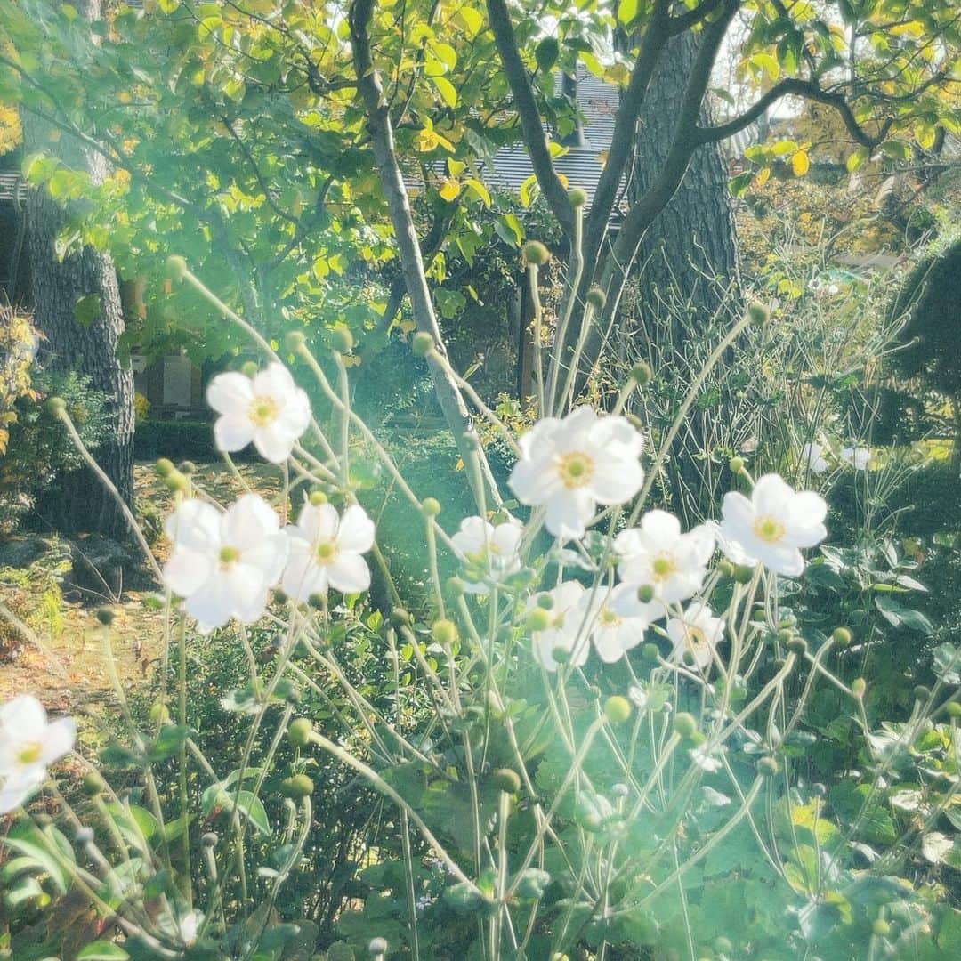 樋口柚子のインスタグラム：「秋〜🌼 と、のんびり顔はめパネル😪⛰️」