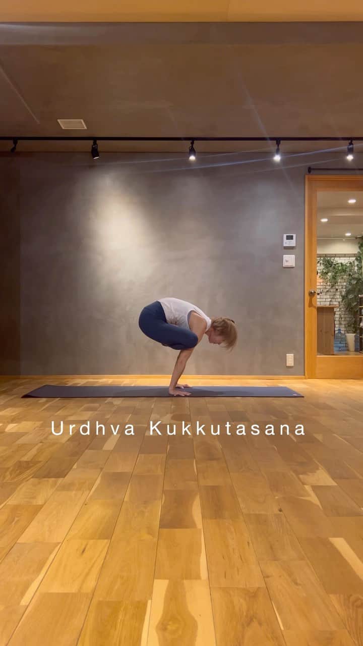 宮城由香のインスタグラム：「.  ⁡ ⁡ Power Yoga Advance @studioGOD (10/30)のおさらい。 ⁡ 今回も、前週のアーサナアライメントアドバンス @studiogod_yoyogiuehara でクックタアーサナの練習をオーダーいただき、皆んなで練習したのでそちらをシークエンスに入れました🙌🏻 ⁡ シルシャーサナからクックタアーサナはパドマアーサナを手を使わずに組めるようになること そもそもシルシャーサナが安定していないと組めないこと。 ⁡ クックタから脚を片足外すところで落下する方が多かったけど、下からトラーサナに入る感じで体幹をしっかり入れてから外せば大丈夫です👍🏻👍🏻 ⁡ ⁡ ⁡ さて。 年末に行う108 Asana Challengeはシークエンスになってるので、アドバンスアーサナとアドバンスアーサナを続く部分のトランジションも楽しめます💪🏻 ⁡ もちろん基本のアーサナが半分以上！ ⁡ 基本からアドバンスまで 年末総復習のイベントです！！ ⁡ 楽しみだねっ🤗 ⁡ ⁡ ⁡ アドバンスアーサナチャレンジしてみたいけど、まだシークエンスは…の方は アーサナアライメントアドバンスがオススメです🙌🏻 ⁡ そのアーサナに必要な筋肉の使い方や伸ばし方・練習方法を伝えながら進めています。 ⁡ ⁡ このアーサナ初めてできた！！が 多いクラスです🤗 ⁡ ⁡ アーサナへの執着ではなく、練習過程で自分自身と向き合うことを楽しむクラス☺︎ 基本を大切にするクラスです☺︎☺︎ ⁡ ⁡ アドバンスシークエンスクラスももちろんですが とにかく身体を丁寧に扱うことを伝えています😌 ⁡ ⁡ なので、どこかが痛い！ とか 辛い！ ときは、クラスに無理に来ないでお休みしてくださいねってことも伝えます。 ⁡ 自分を大切にすることが大前提で アドバンスにもチャレンジしたい方は ⁡ 一緒に練習しましょう🙌🏻✨ ⁡ ⁡ ⁡ ⁡ -————————————— ⁡ アドバンスクラスでいつもお伝えしていることは ⁡ 無理やり やらないこと 今できないことに執着しないこと ⁡ ピークだけを頑張るのでなく ⁡ アーサナに入る時も出る時も ゆっくり丁寧に 自分をコントロールできるように。 ⁡ 練習していく過程が大切で そこでの気づきを繋いでいってほしい。 ⁡ ⁡ 一緒に時間と場所を共有している人たちと 心身共に高め合ってほしい。 ⁡ アドバンスクラスは チャレンジを楽しむクラスです💪🏻✨ ⁡ ⁡ 出来る・出来ない から離れます☺︎ ⁡ ⁡ ⁡ — 宮城由香 studio GOD 担当クラスについて— シークエンスのアドバンスクラスは @studiogod 恵比寿の月曜日13:15〜のクラスのみとなります🙌🏻 （代々木上原ではアドバンスシークエンスクラスは行いません☺︎）   ⁡ 【 FULL 】表示クラスはキャンセル待ちでのご予約が可能です🙌🏻 当日までに時間のあるクラスはキャンセルがいくつか必ず出ます🫣 ⁡ キャンセルが出た場合、【キャンセル待ち登録の順番関係なく】キャンセル待ちの方全員にメールが送信されます。 そこからご予約の早い方が参加可能となります🙏🏻 ⁡ ⁡ はじめてstudio GODに行くのに予約取れない！という方は、《いつの・どのクラス を予約希望か》私にDMください🙏🏻 初めての方枠でご予約私の方で承ります😉✨ ⁡ ⁡ ⁡ #おさらいシリーズ  #スタジオゴッド  #studioGOD #studioGOD恵比寿 #studioGOD代々木上原 #宮城由香 #yukamiyagi #poweryoga #yogaflow #yogasequence #yogamovement  #yogaasanas #yogaposes #パワーヨガ #ヨガポーズ #ヨガ #ヨガレッスン #ヨガフロー  ⁡ ⁡ ⁡」
