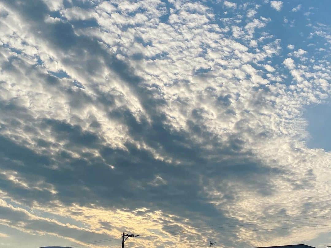 TOKIEのインスタグラム：「江口さんBillboardありがとうございました。 今回のギター、長田さんとまたご一緒できたのも嬉しかったです。 すごかったー🎸 翌日は父の3回忌の為旅へ。 とても空気の良いとこなのでいつもは自走で寄り道しながら向かい少し滞在してくるのですが、今回はスケジュールが立て込んでいるので新幹線で朝早く向かいすぐに戻ってくる行程に。 夕方にキレイな空が見れたのがご褒美でした。  11月なのに夏のような陽気だったり、ものすごい人の東京駅だったり、新幹線もなかなか指定が埋まっていたり何かいろいろといつもとは違ってる様子を感じながらの一人旅。 雪が降る前にもう一度ゆっくり行けたらいいなぁと思いつつ明日からまたアタマを切り替えて👊👊」