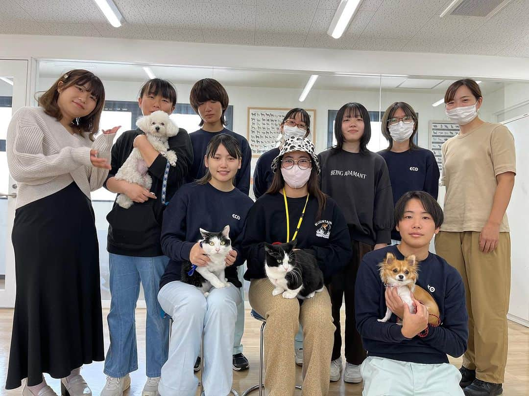 【公式】東京コミュニケーションアート専門学校ECOのインスタグラム：「学校猫のオレオさんが、学生さんより一足早く卒業を迎えました🌸  これからは、卒業生のお家でゆっくりのんびりと暮らしていきます🐈 たくさんの学生さん達と過ごした日々を忘れずに、毎日楽しく穏やかに過ごして下さいね🌱  学生の皆さん、寂しいですが一緒にオレオの幸せを願いながら、これからも引き続きお勉強頑張りましょう！😊  オレオさん、今までありがとうございました♡  . ・－・－・－・－・－・－・－・－・ ⁡ 学校説明会やオープンキャンパスも実施しております🐰🌱 ぜひご参加ください🕊🛰 ⁡ ・－・－・－・－・－・－・－・－・ ⁡ #tca東京eco動物海洋専門学校 #tcaeco #動物 #海洋 #ペット #自然環境 #恐竜 #専門学校 #オープンキャンパス #oc #進路 #動物園 #飼育員 #ネコ #猫 #動物看護」