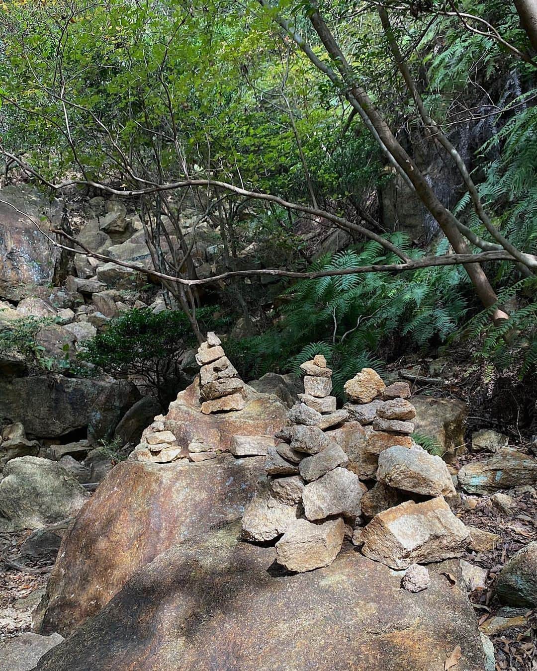 kaisakamotさんのインスタグラム写真 - (kaisakamotInstagram)「ルート間違えて命の危険さえ感じましたが、楽しかったdeath #登山 #ハイキング #ロックバランシング #荒地山 #六甲山 #rockbalancing #hike」11月5日 18時57分 - kaisakamot