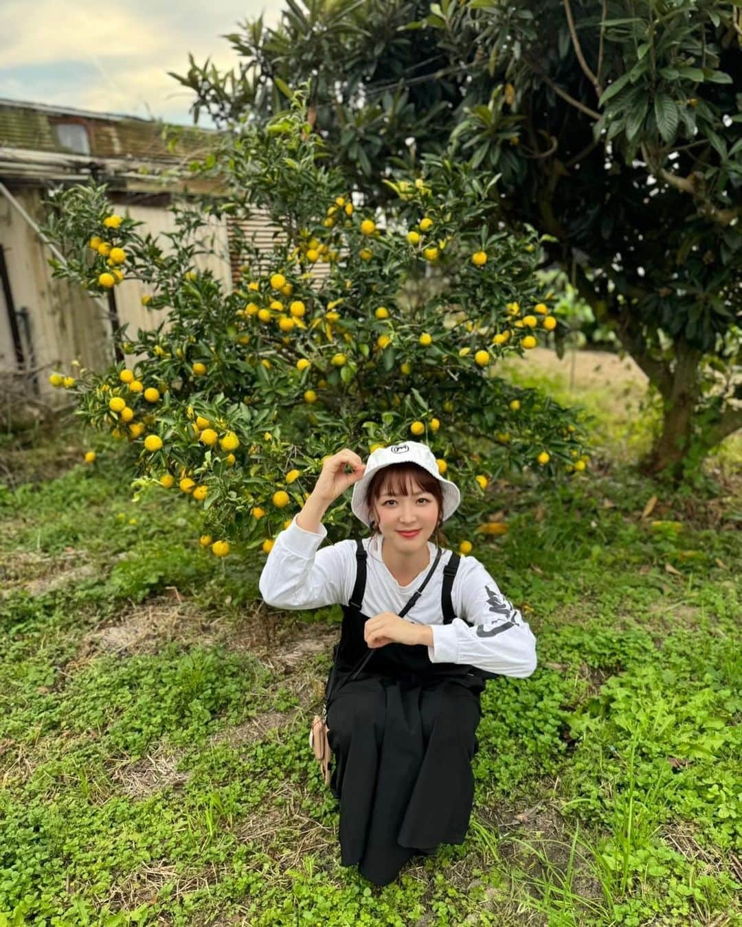 白井奈津さんのインスタグラム写真 - (白井奈津Instagram)「YUZU💛  #柚子の木 #ゆず #yuzu #ゆずの木のふもとで #つまり #ゆずのもと #ゆずの素 #鹵 #💛  ちなみに #帽子は #ミツメ のグッズで #ロンＴは #lililimit のグッズです」11月5日 19時06分 - shirai_natsu