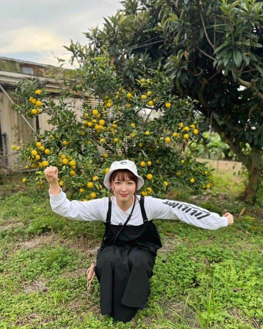 白井奈津さんのインスタグラム写真 - (白井奈津Instagram)「YUZU💛  #柚子の木 #ゆず #yuzu #ゆずの木のふもとで #つまり #ゆずのもと #ゆずの素 #鹵 #💛  ちなみに #帽子は #ミツメ のグッズで #ロンＴは #lililimit のグッズです」11月5日 19時06分 - shirai_natsu