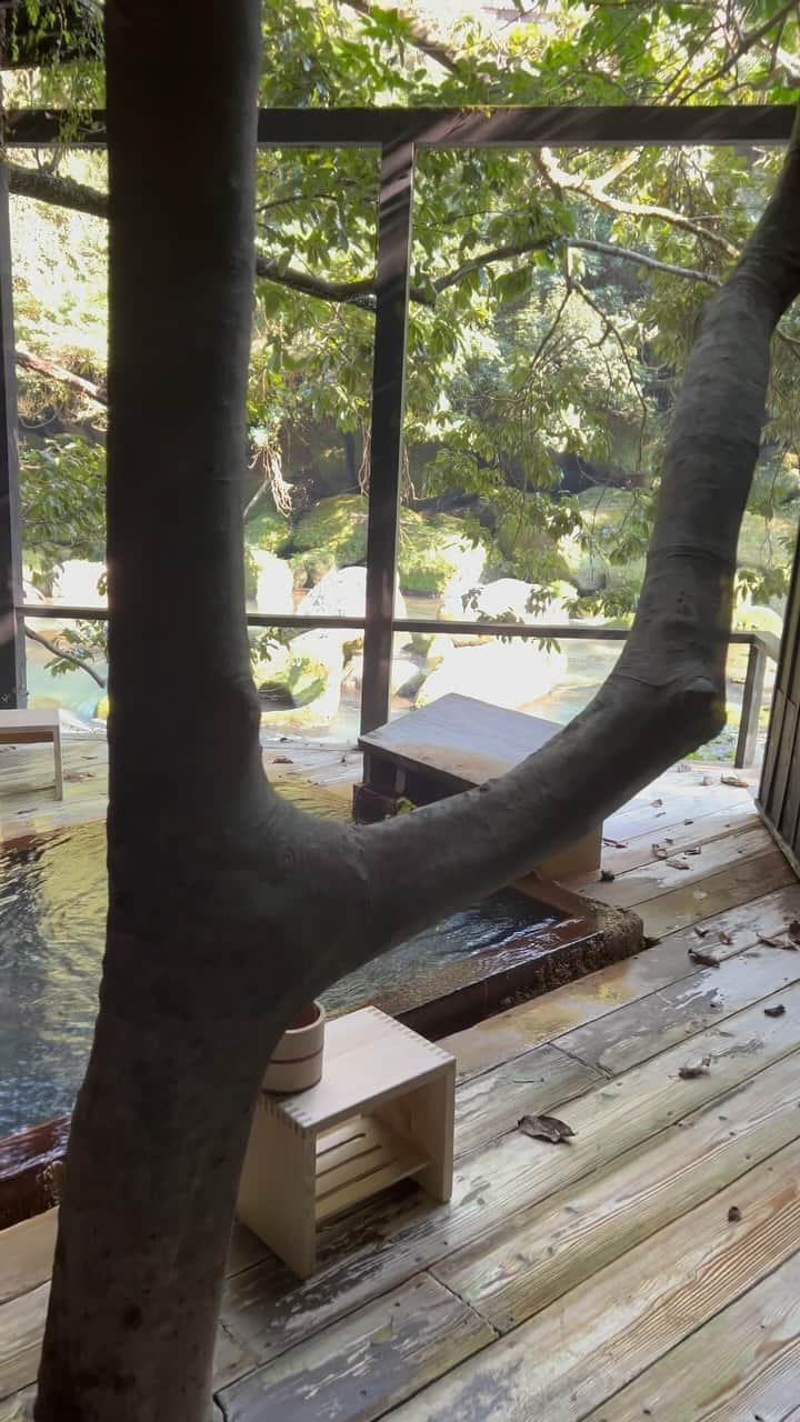 加藤未唯のグルメインスタ