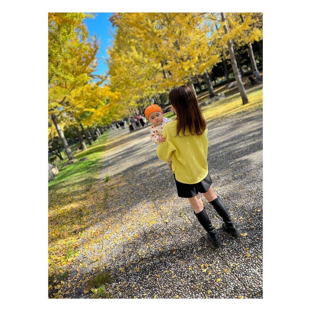 八坂芽依さんのインスタグラム写真 - (八坂芽依Instagram)「イチョウ並木💛in天童 去年は行きそびれたのでっ笑 綺麗はとても綺麗なんだけど、コバエ🪰やばくて はらいながら歩いてました笑 来年はコバエがおらんイチョウ並木楽しみっ🐝 #家族写真 #イチョウ並木 #天童 #山形紅葉スポット  #天童市」11月5日 19時31分 - yasakamei_28