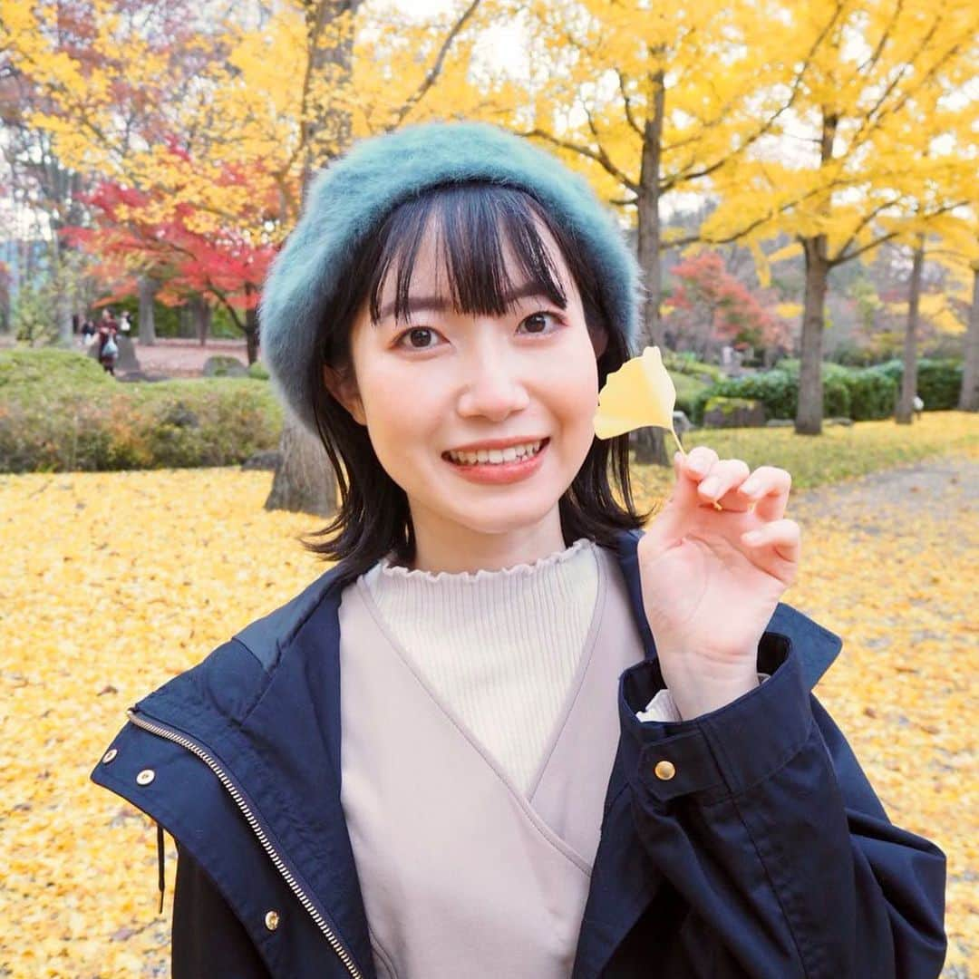 菅原智郁のインスタグラム：「山形県総合運動公園へ🍁⠜ 銀杏並木が見頃でした！ 本当にたくさんの人がいて、外国人も多かったです😳 海外にもここが知られているんだなとびっくり！  場所によっては散っているところもあったので、 今度の土日にはもう全部散ってしまっているかな？  行く方はギンナンに注意です😂笑  きょうは #芸術の秋 #食欲の秋 #紅葉の秋 とよい休日でした。また投稿します😆 . .  #山形 #天童 #山形県総合運動公園 #いちょう並木 #秋 #紅葉 #休日 #山形テレビ #アナウンサー #菅原智郁」