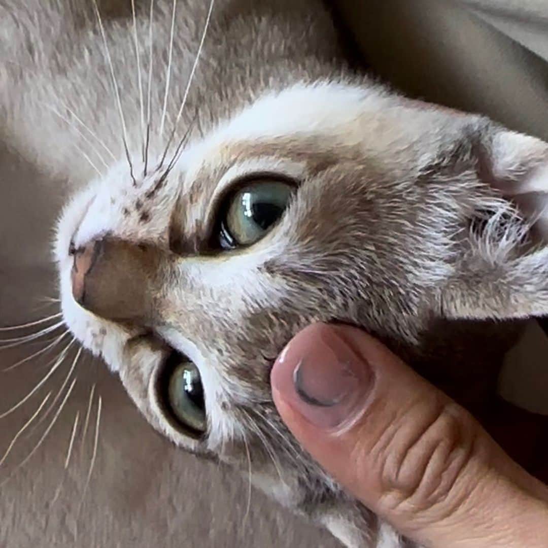 しゅんのインスタグラム