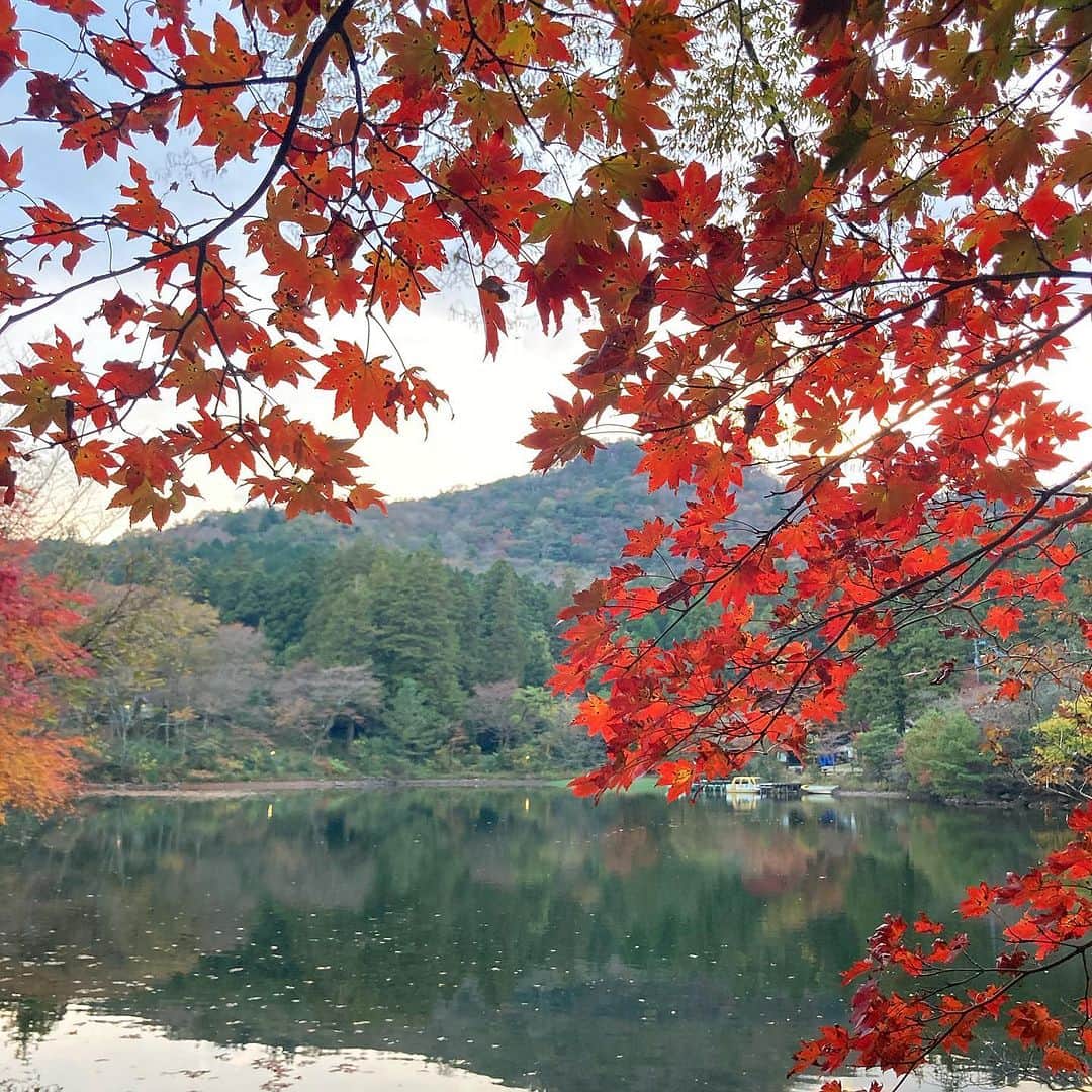 羽地政義さんのインスタグラム写真 - (羽地政義Instagram)「雲仙仁田峠へ行ってきました🍁 いつにも増して景色が最高でした♪ 紅葉は温泉街や白雲の池へだんだんと 見頃が移ってきている印象ですね👀👌」11月5日 20時18分 - hanejimasayoshi