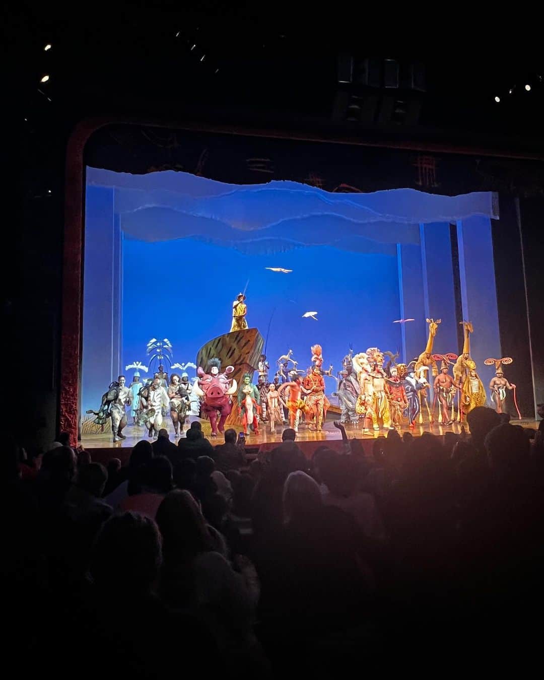 スーザン・サランドンのインスタグラム：「Brought the grandkids to @thelionking . My 4th time and I still wept at the first number. What a treat. Thank you @carlile1 @thefredberman」