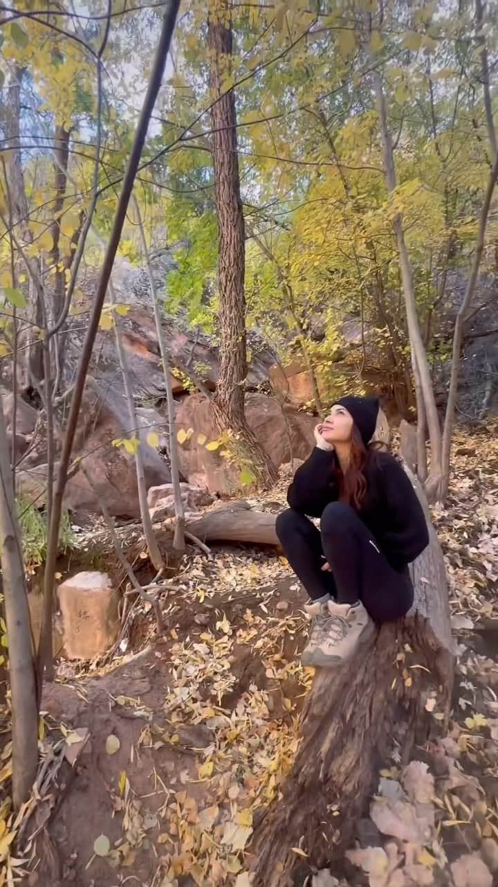 アリアニー・セレステのインスタグラム：「Autumn in Zion. 🍁🥰  - #travelbug #fallvibes🍁 #zionnationalpark」