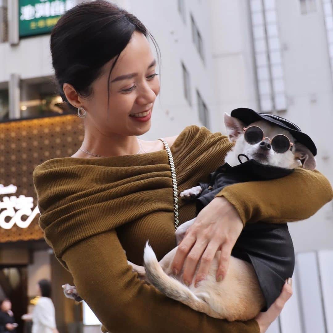 のインスタグラム：「11月銀座にて　#日本一抱きたい男紋次郎  1枚目　@k.chi188 さん 3枚目　@jimiithebubble @naomipoyopoyo @kaaana0418  9.10月の分はまた今度  #dog#dogstagram#instadog#chihuahua#barkbox#mydogiscutest#buzzfeed#dog_features#fluffypack#barkpack#dogsofinstagram#犬#チワワ#手作り#handmade#着物#fashion#紋次郎一家#チーム茶#ふわもこ部#igersjp#peco犬部#dogfashion #whisky」