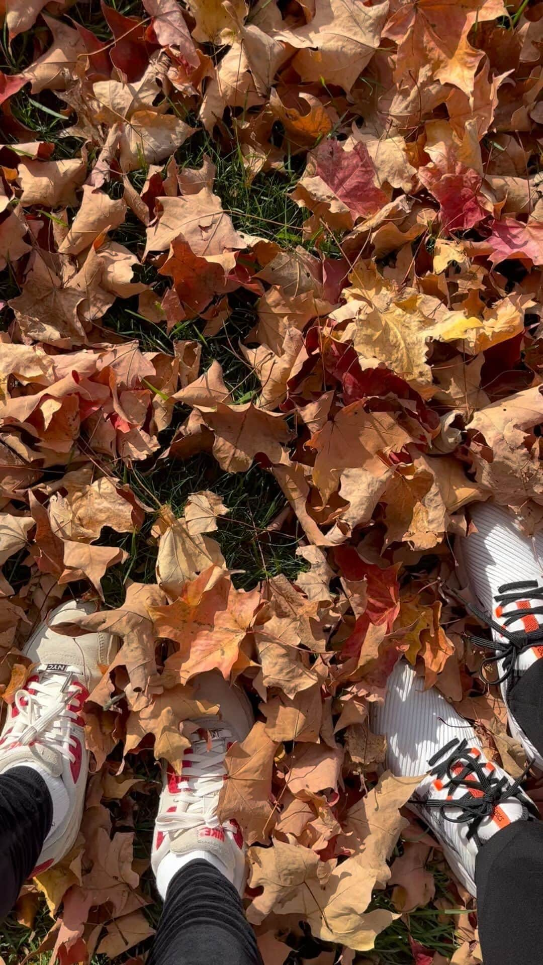 スーザン・ルッチのインスタグラム：「Love that crunch crunch crunch!  Morning walk with BFF’s. 🍁🍁🍁🥰🥰🥰💃🏽💃🏽💃🏽」