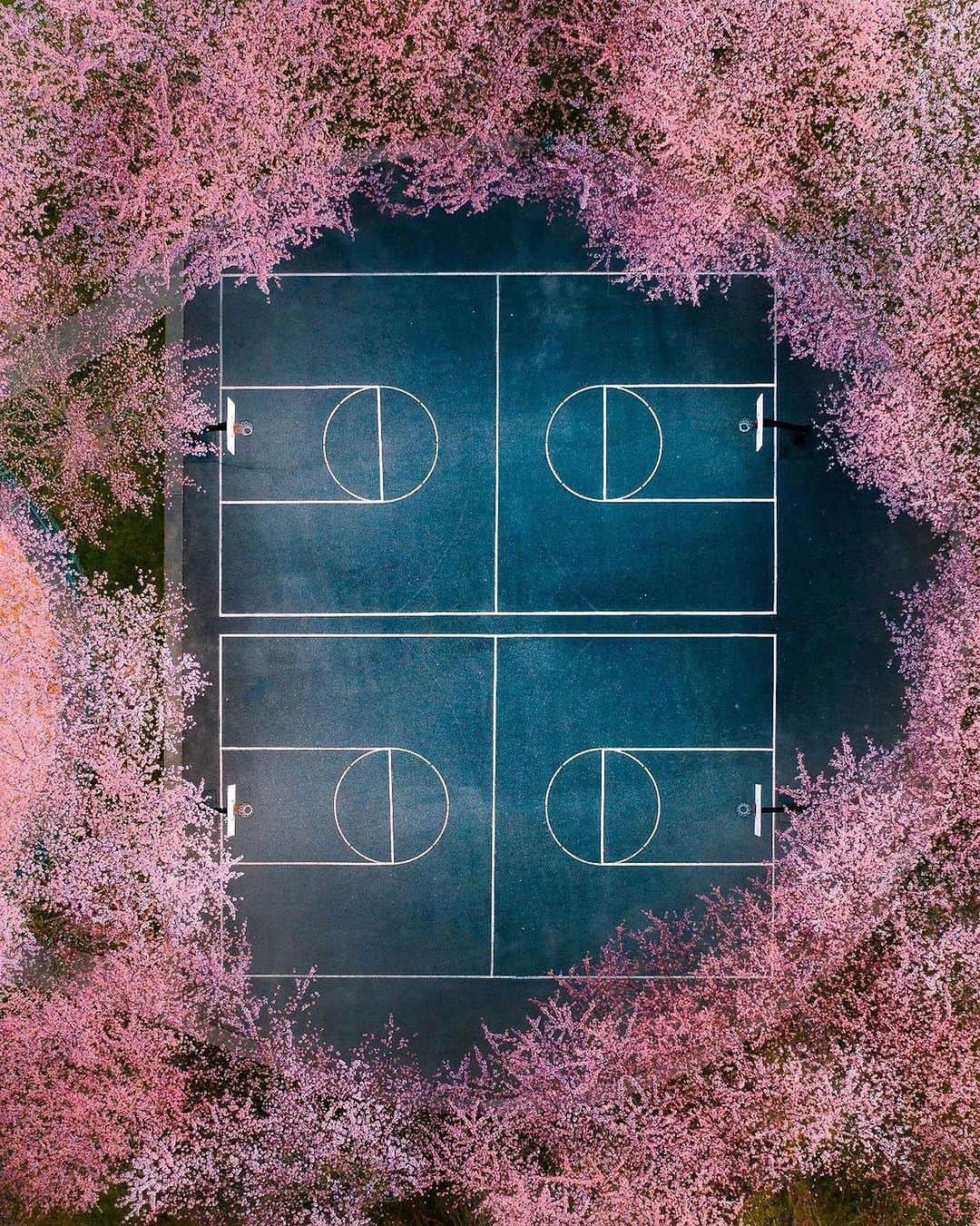 FIBAのインスタグラム：「Ball in peace, all I want 😌 🏀   📸 @michaelweldonphoto」