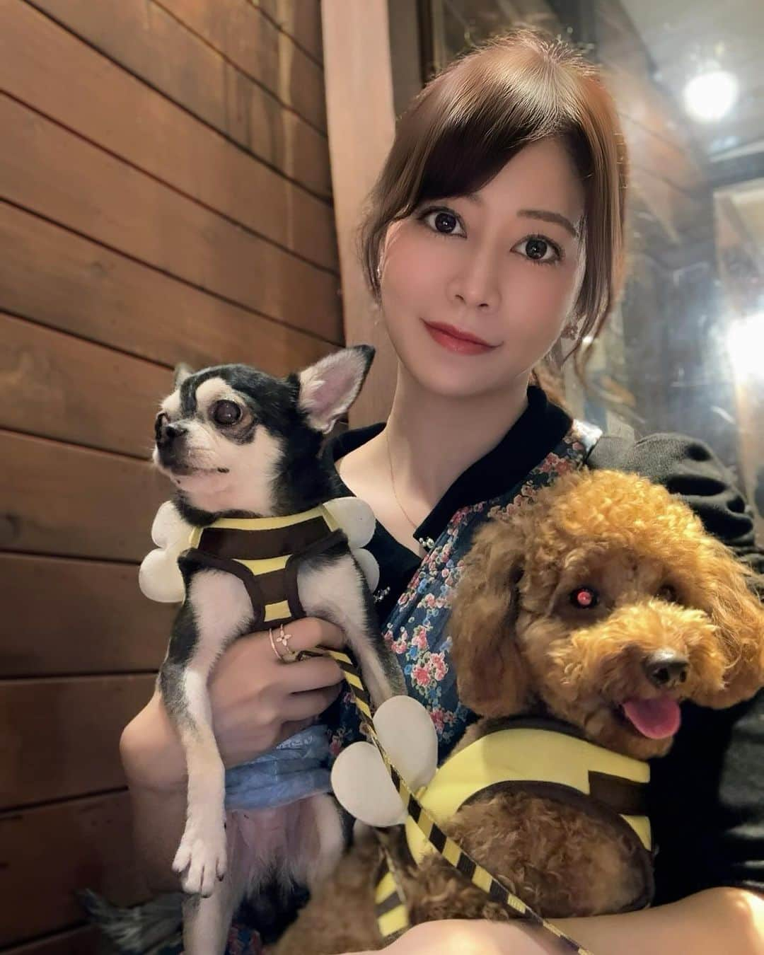 薄井美樹のインスタグラム：「家族でまったりな休日💕 全然カメラ見てくれないいぬたち🐶🐶」