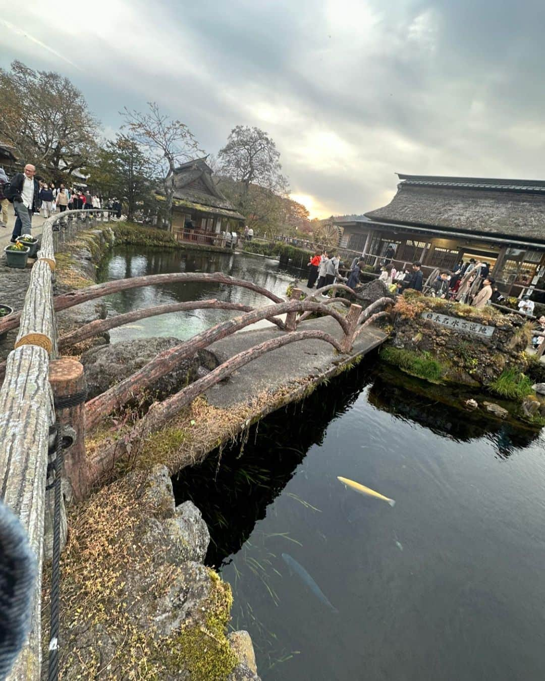 松岡凛さんのインスタグラム写真 - (松岡凛Instagram)「こんばんは🧏‍♀️🤍  皆さん三連休はゆっくりできたかなー⭐︎ この写真めちゃくちゃ好きっ🍄 ちゃんと紅葉見たの初めてでこんなに真っ赤ですごく綺麗すぎたー😍撮影したお母さんも写真のセンスの良さ⭐️！ 三連休最終日は、昨日山梨から帰ってきてすごく疲れてて帰って即爆睡しちやったよ👶　 起きたのはお昼過ぎすぎて逆にもっと寝れたよね^ ^  私と一緒で三連休最終日寝て終わってる人もいるけど寝れるって1番幸せだよねー🥱🩵！！  明日からまたお仕事はじまるけど一週間頑張ろうね😊！  ストーリーで6th DVDオフショットあがって気まずい攻撃みたいになってるけど発売まで我慢してね🥹！ ファンティアにSNSに載せれないのたくさん載ってるので見てくれたら嬉しいな☺️！！！  そして12日は名古屋撮影会だよー！ 個撮残り1枠と団体のみになりました☺️ 年内はラスト名古屋なので時間あれば来てね♩♩  それでわもう寝まーす⭐︎ いい夢みろよー🌟  #松岡凛#グラビア#日焼け後グラドル#日焼けグラドル#ギャルお姉さんは優しい#竹書房#Amazonランキング1位#DMM#山梨#紅葉#山中湖」11月5日 23時13分 - matuoka_1214