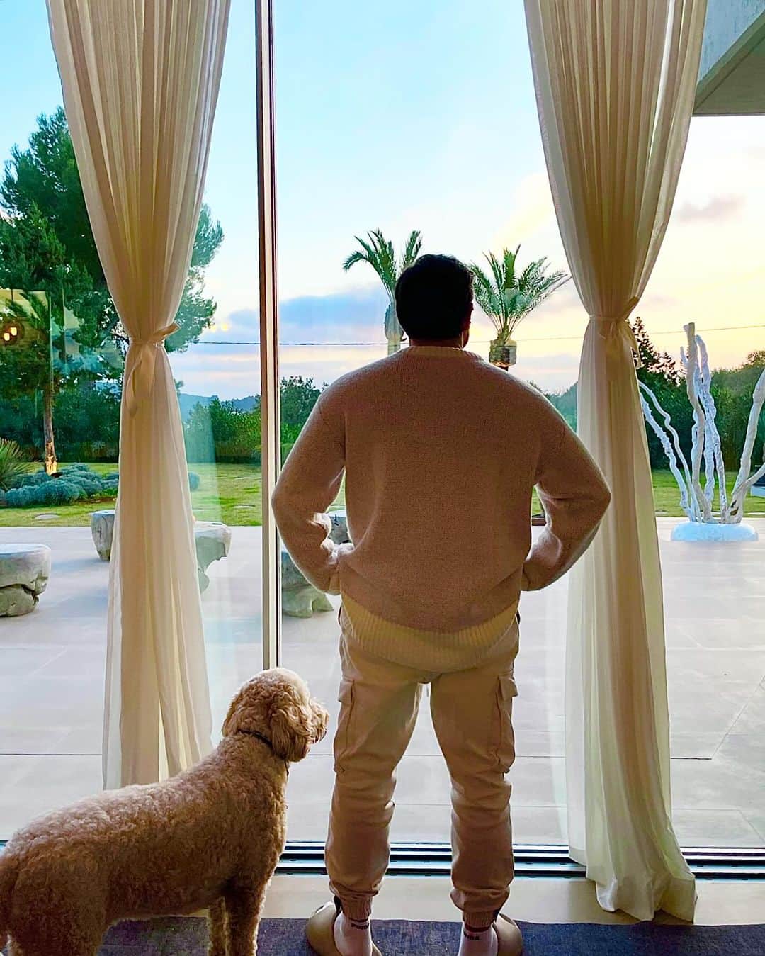 ジョナス・ブルーのインスタグラム：「🐶💙🌴」