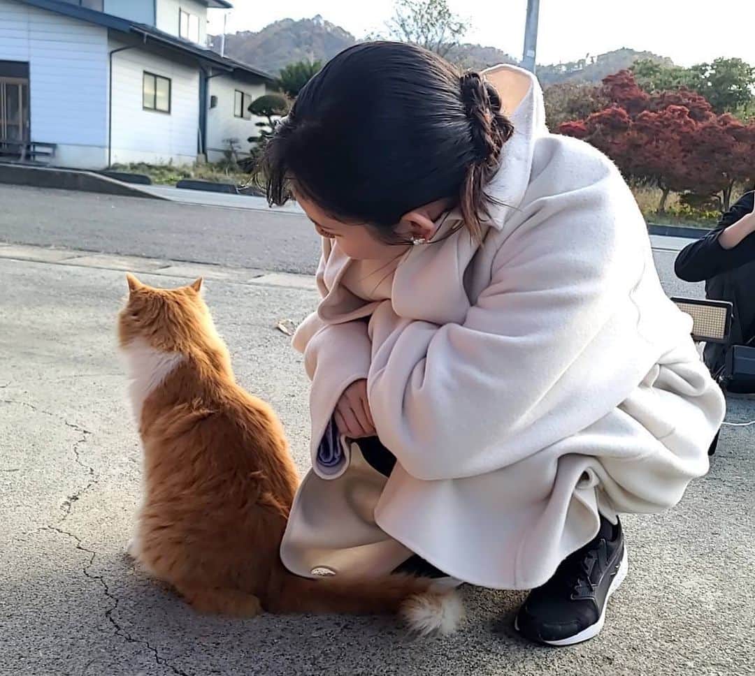 田中瞳のインスタグラム：「. 東北の猫」