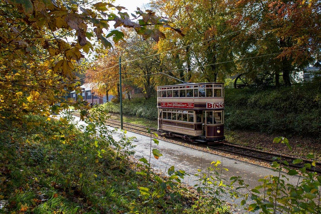 ベーミッシュ美術館さんのインスタグラム写真 - (ベーミッシュ美術館Instagram)「🍂🚋🚌 Picture-perfect autumn at Beamish! 📸🍁 The colourful trees around the museum provide the perfect backdrop for our trams and buses 👌🍂  #Autumn #AutumnTrees #AutumnColours #Tram #Bus #VintageTransport #VintageVehicles #Museum #Durham #NorthEastEngland」11月6日 0時30分 - beamish_museum