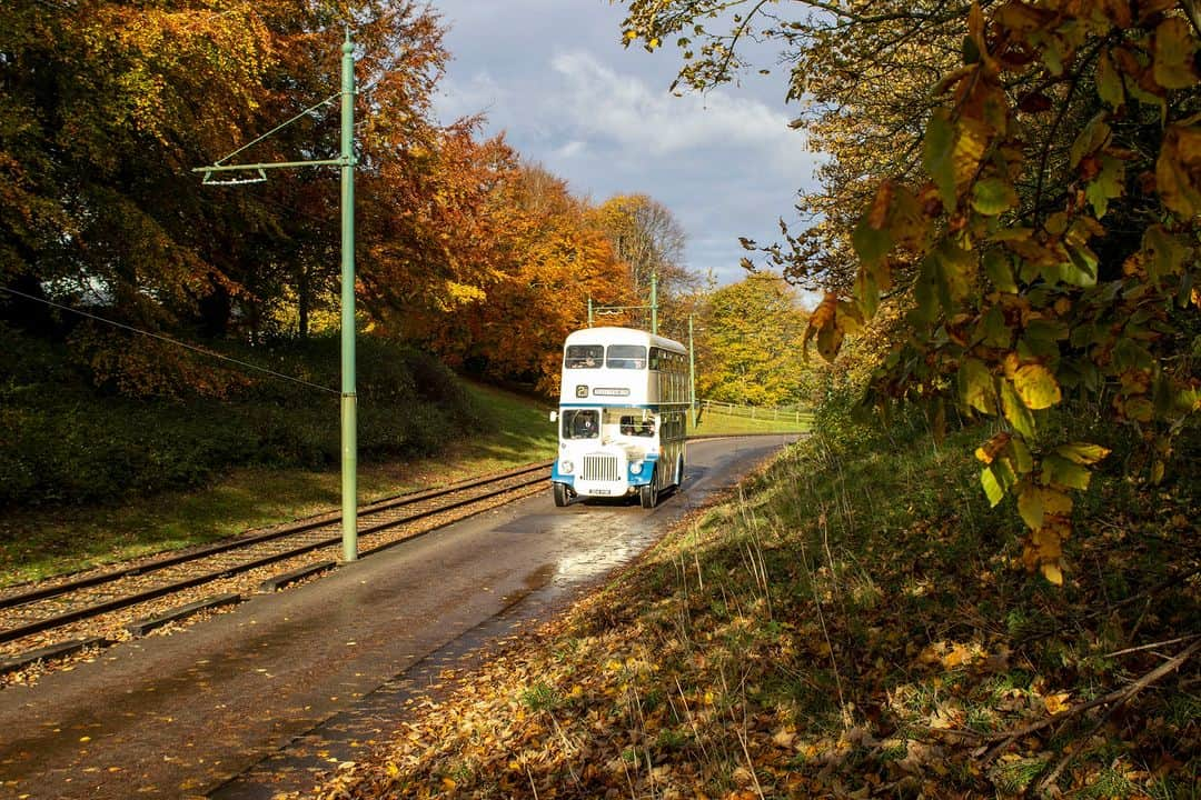 ベーミッシュ美術館さんのインスタグラム写真 - (ベーミッシュ美術館Instagram)「🍂🚋🚌 Picture-perfect autumn at Beamish! 📸🍁 The colourful trees around the museum provide the perfect backdrop for our trams and buses 👌🍂  #Autumn #AutumnTrees #AutumnColours #Tram #Bus #VintageTransport #VintageVehicles #Museum #Durham #NorthEastEngland」11月6日 0時30分 - beamish_museum