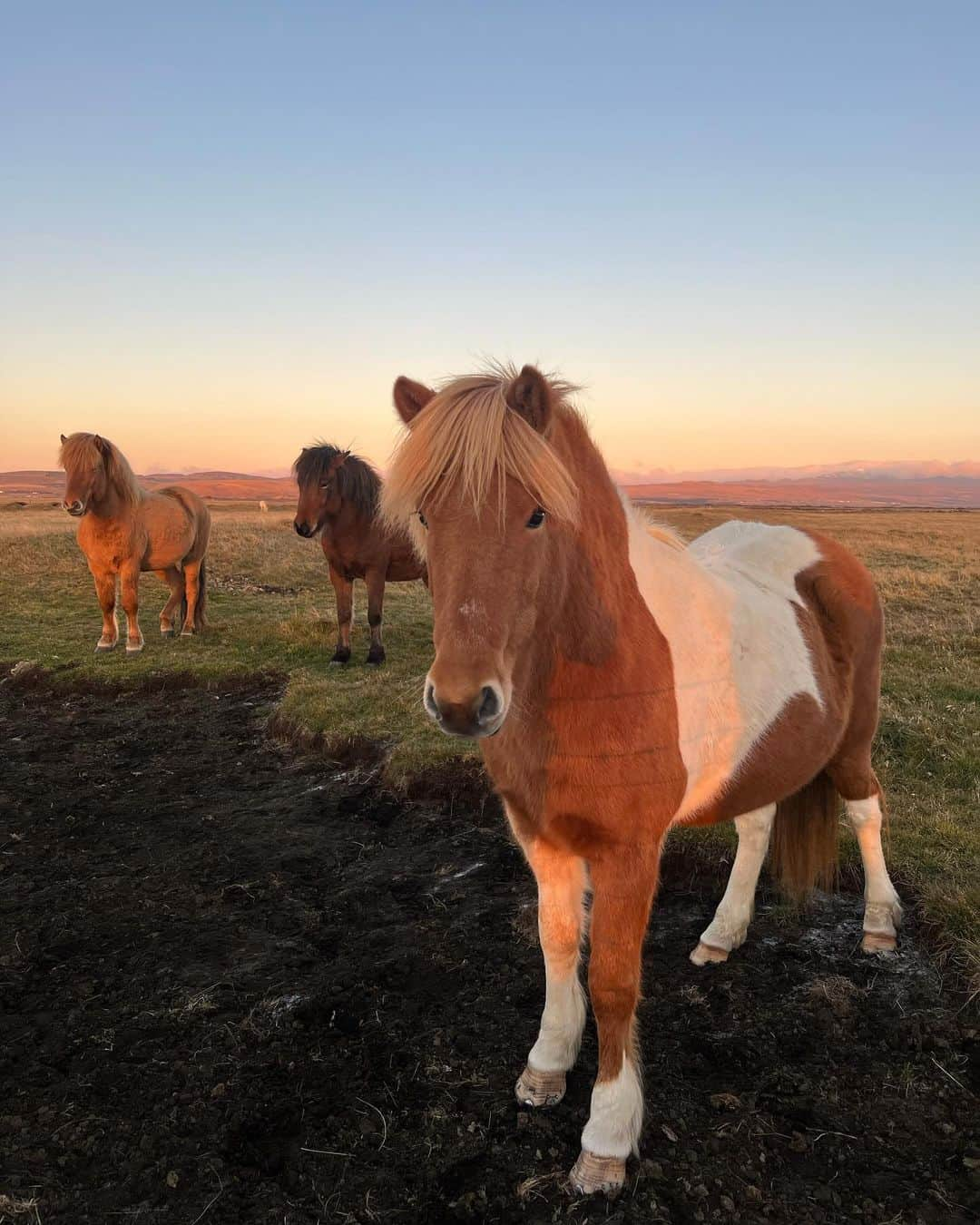 エリカ・ファサナさんのインスタグラム写真 - (エリカ・ファサナInstagram)「Nature at its best. Takk Fyrir Iceland 🇮🇸」11月6日 0時50分 - erika_fasana